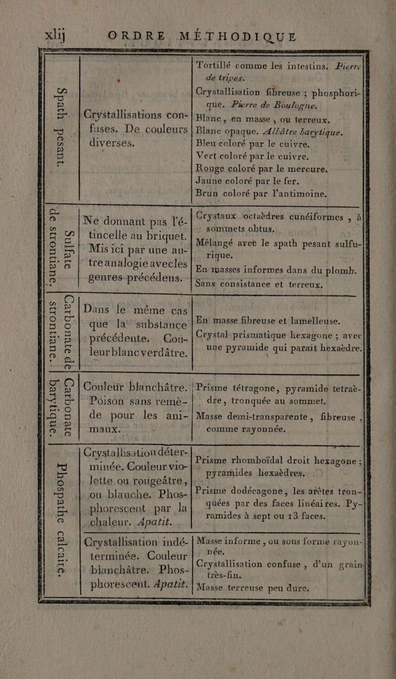 ons 2p CRAZEANS ‘JuUrTiU ‘JUCIJUONS onbneq | ‘oHvoyeo oyiedsouq uesod eds @) 2p avuoqir avuo0qie Crystallisations con- fuses. De couleurs diverses. Ne donnant pas l'é- tincelle au briquet. Mis ici par une au- ‘treanalogie avecles genres-précédens. Dans le même cas que Ja substance précédente. Cou- leurblancverdätre. DT ET) TESTS SEE Couleur blanchâitre. Poison sans remè- de pour les ani- Maux. Crystalhsation déter- minée. Couleur vio- Jette ou rougeûtre, ou blauche. Phos- -phorescent par la .chaleur. Apatit. Crystallisation indé- terminée. Couleur bianchâtre. Phos- phorescent. 4patit. Tortillé comme les intestins. Pierrell dé tripes. | Crystallisation fbreuse ; phosphori-|| que. Pxrre de Boulogne. Blanc, en masse , ou terreux. Blanc opaque. Æ/Lâtre barytique. Bleu coloré par le cuivre. Vert coloré par le cuivre. Rouge coloré par le mercure. Jaune coloré par le fer. Brun coloré par l’antimoine. Crystaux ‘octaèdres cunéiformes , àlÉ sommets obtus. L Mélangé avet le spath pesant sulfu- rique. En mwasses informes dans du plomb. Sans consistance et terreux. En masse fibreuse et lamelleuse. Crystal prismatique hexagone ; avec une pyramide qui parait hexaèdre.| | Prisme tétragone, pyramide tetraè- dre, tronquée au sommet. Masse demi-transparente, fibreuse , comme rayonnée. Prisme rhomboïdal droit hexagone ;| pyramides liexaèdres, Prisme dodécagone, les arêtes tron-|f quées par des faces linéaires. Py- ramides à sept ou 13 faces. Masse informe , ou sous forme rayon- née. Crystallisation confuse , d’un grain très-fin. Masse terreuse peu dure. PR TT TR NE te CITES MAIRE Vs À 48 PES