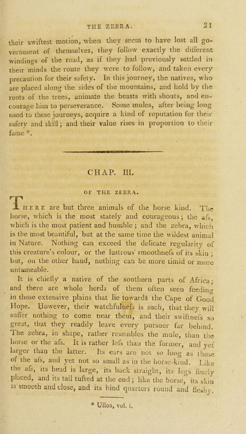 their swiftest motion, when they seem to have lost all go- vernment of themselves, they follow exactly the different windings of the road, as if they had previously settled in their minds the route they were to follow, and taken every precaution for their safety. In this journey, the natives, who are placed along the sides of the mountains, and hold by the roots of the trees, animate the beasts with shouts, and en- courage him to perseverance. Some mules, after being long used to these journeys, acquire a kind of reputation for then- safety and skill; and their value rises in proportion to their fame *. CHAP. III. OF THE ZEBRA. rJL''here are but three animals of the horse kind. The horse, which is the most stately and courageous; the afs, which is the most patient and humble ; and the zebra, which is the most beautiful, but at the same time the wildest animal in Nature. Nothing can exceed the delicate regularity of this creature’s colour, or the lustrous' smoothnefs of its skin ; but, on the other hand, nothing can be more timid or more untameable. It is chiefly a native of the southern parts of Africa; and there are whole herds of them often seen feeding in those extensive plains that lie towards the Cape of Good Hope. However, their watchfulness is such, that they will suffer nothing to come near them, and their swiftnefs so great, that they readily leave every pursuer far behind. The zebra, in shape, rather resembles the mule, than the horse or the afs. It is rather lets than the former, and yet larger than the latter. Its ears are not so long as those of the afs, and yet not so small as in the horse-kind. Like the afs, its head is large, its back straight, its legs finely placed, and its tail tufted at the end; like the horse, its skin is smooth and close, and its hind quarters round and fleshy. * Ulloa, vol. i.