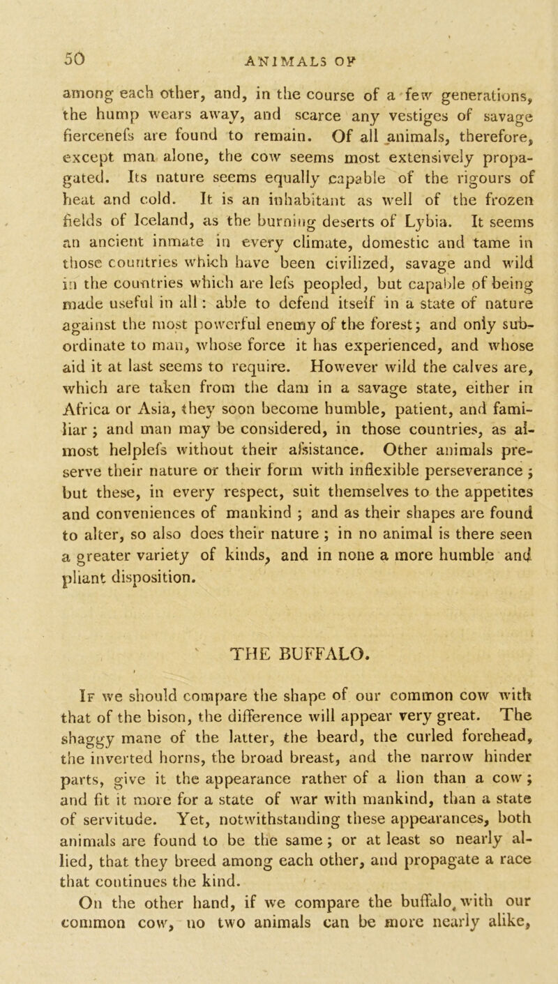 among each other, and, in the course of a few generations, the hump wears away, and scarce any vestiges of savage fiercenefs are found to remain. Of all animals, therefore, except man alone, the cow seems most extensively propa- gated. Its nature seems equally capable of the rigours of heat and cold. It is an inhabitant as well of the frozen fields of Iceland, as the burning deserts of Lybia. It seems an ancient inmate in every climate, domestic and tame in those countries which have been civilized, savage and wild in the countries which are lefs peopled, but capable of being made useful in all: able to defend itself in a state of nature against the most powerful enemy of the forest; and only sub- ordinate to man, whose force it has experienced, and whose aid it at last seems to require. However wild the calves are, which are taken from the dam in a savage state, either in Africa or Asia, they soon become humble, patient, and fami- liar ; and man may be considered, in those countries, as al- most helplefs without their afsistance. Other animals pre- serve their nature or their form with inflexible perseverance ; but these, in every respect, suit themselves to the appetites and conveniences of mankind ; and as their shapes are found to alter, so also does their nature ; in no animal is there seen a greater variety of kinds, and in none a more humble and pliant disposition. THE BUFFALO. i If we should compare the shape of our common cow with that of the bison, the difference will appear very great. The shaggy mane of the latter, the beard, the curled forehead, the inverted horns, the broad breast, and the narrow hinder parts, give it the appearance rather of a lion than a cow ; and fit it more for a state of war with mankind, than a state of servitude. Yet, notwithstanding these appearances, both animals are found to be the same; or at least so nearly al- lied, that they breed among each other, and propagate a race that continues the kind. On the other hand, if we compare the buffalo, with our common cow, no two animals can be more nearly alike,
