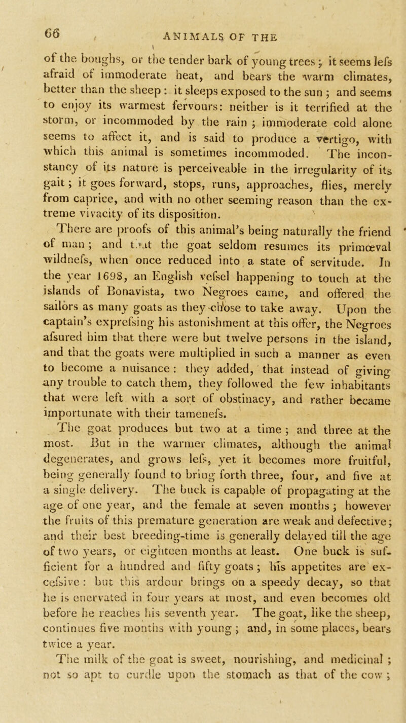 t 66 , ANIMALS OF THE i oi the boughs, or the tender bark of young trees, it seems lefs afraid of immoderate heat, and bears the warm climates, better than the sheep : it sleeps exposed to the sun ; and seems to enjoy its warmest fervours: neither is it terrified at the storm, or incommoded by the rain ; immoderate cold alone seems to affect it, and is said to produce a vertigo, with which this animal is sometimes incommoded. The incon- stancy of its nature is perceiveable in the irregularity of its gait; it goes forward, stops, runs, approaches, flies, merely from caprice, and with no other seeming reason than the ex- treme vivacity of its disposition. There are proofs of this animal’s being naturally the friend ' of man ; and t.Lit the goat seldom resumes its primoeval wildnefs, when once reduced into a state of servitude. In the year 1698, an Itnglish vefsel happening to touch at the islands of Bonavista, two Negroes came, and offered the sailors as many goats as they ch‘ose to take away. Upon the captain’s exprcfsing his astonishment at this offer, the Negroes afsured him that there were but twelve persons in the island, and that the goats were multiplied in such a manner as even to become a nuisance : they added, that instead of giving itny trouble to catch them, they followed the few inhabitants that were left with a sort of obstinacy, and rather became importunate with their tamenefs. The goat produces but two at a time ; and three at the most. But in the warmer climates, although the animal degenerates, and grows lefs, yet it becomes more fruitful, being generally found to bring forth three, four, and five at a single delivery. The buck is capable of propagating at the age of one year, and the female at seven months ; however the fruits of this premature generation are weak and defective; and their best breeding-time is generally delayed till the age of two years, or eighteen months at least. One buck is suf- ficient for a hundred and fifty goats ; Ins appetites are ex- cefsive : but this ardour brings on a speedy decay, so that he is enervated in four years at most, and even becomes old before he reaches his seventh year. The goat, like the sheep, continues five months with young ; and, in some places, bears twice a year. Tiie milk of the goat is sweet, nourishing, and medicinal ; not so apt to curdle upon the stomach as that of the cow ; i