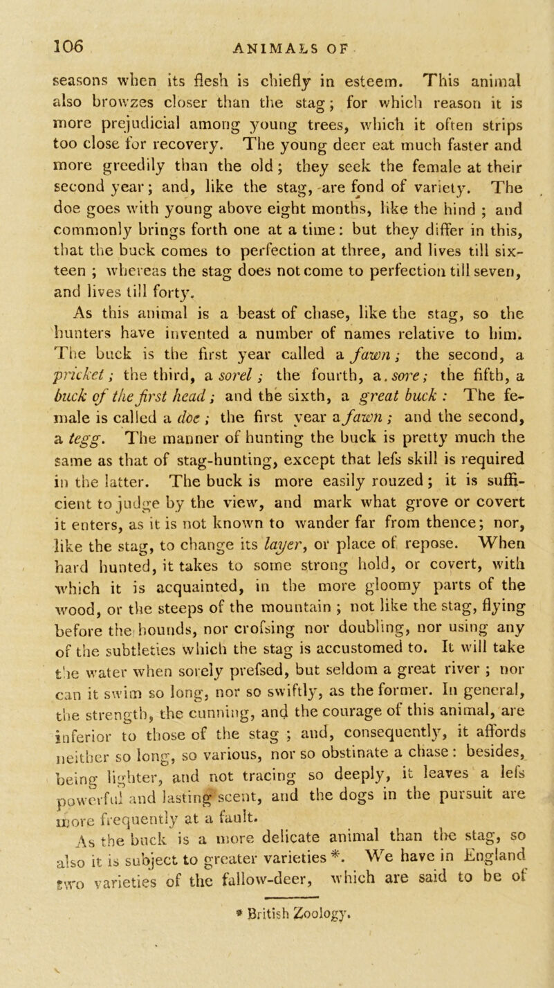 seasons when its flesh is chiefly in esteem. This animal also bron zes closer than the stag; for which reason it is more prejudicial among young trees, which it often strips too close tor recovery. The young deer eat much faster and more greedily than the old ; they seek the female at their second year; and, like the stag, are fond of variety. The doe goes with young above eight months, like the hind ; and commonly brings forth one at a time: but they differ in this, that the buck comes to perfection at three, and lives till six- teen ; whereas the stag does not come to perfection till seven, and lives till forty. As this animal is a beast of chase, like the stag, so the hunters have invented a number of names relative to him. The buck is the first year called a fawn; the second, a pricket; the third, a sorel; the fourth, a .sore; the fifth, a buck of the first head; and the sixth, a great buck : The fe- male is called a doe ; the first year a fawn ; and the second, a tegg. The manner of hunting the buck is pretty much the same as that of stag-hunting, except that lefs skill is required in the latter. The buck is more easily rouzed ; it is suffi- cient to judge by the view, and mark what grove or covert it enters, as it is not known to wander far from thence; nor, like the stag, to change its layer, or place of repose. When hard hunted, it takes to some strong hold, or covert, with which it is acquainted, in the more gloomy parts of the wood, or the steeps of the mountain ; not like the stag, flying before the hounds, nor crofsing nor doubling, nor using any of the subtleties which the stag is accustomed to. It will take the water when sorely prefsed, but seldom a great river ; nor can it swim so long, nor so swiftly, as the former. In general, the strength, the cunning, and the courage of this animal, are inferior to those of the stag ; and, consequently, it affords neither so long, so various, nor so obstinate a chase : besides, being lighter, and not tracing so deeply, it leaves a lels powerful and lasting scent, and the dogs in the pursuit are more frequently at a fault. As the buck is a more delicate animal than the stag, so also it is subject to greater varieties *. We have in England two varieties of the fallow-deer, which are said to be of * British Zoology.