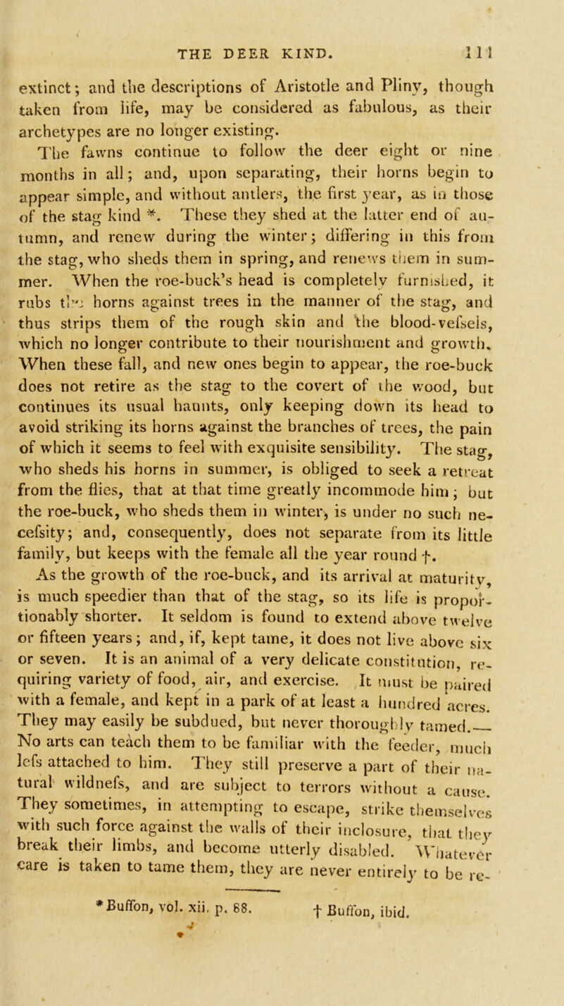 extinct; and the descriptions of Aristotle and Plinv, though taken from life, may be considered as fabulous, as their archetypes are no longer existing. The fawns continue to follow the deer eight or nine months in all; and, upon separating, their horns begin to appear simple, and without antlers, the first year, as in those of the stag kind *. These they shed at the latter end of au- tumn, and renew during the winter; differing in this from the stag, who sheds them in spring, and renews them in sum- mer. When the roe-buck’s head is completely furnished, it rubs the horns against trees in the manner of the stag, and thus strips them of the rough skin and 'the blood-vefsels, which no longer contribute to their nourishment and growth. When these fall, and new ones begin to appear, the roe-buck does not retire as the stag to the covert of the wood, but continues its usual haunts, only keeping clown its head to avoid striking its horns against the branches of trees, the pain of which it seems to feel with exquisite sensibility. The stag, who sheds his horns in summer, is obliged to seek a retreat from the flies, that at that time greatly incommode him; but the roe-buck, who sheds them in winter, is under no such ne- cefsity; and, consequently, does not separate from its little family, but keeps with the female all the year round f. As the growth of the roe-buck, and its arrival at maturity, is much speedier than that of the stag, so its life is propor- tionably shorter. It seldom is found to extend above twelve or fifteen years; and, if, kept tame, it does not live above six or seven. It is an animal of a very delicate constitution re- quiring variety of food, air, and exercise. It must be paired with a female, and kept in a park of at least a hundred acres. They may easily be subdued, but never thoroughly tamed. No arts can teach them to be familiar with the feeder, much lefs attached to him. They still preserve a part of their na- tural wildnefs, and are subject to terrors without a cause. They sometimes, in attempting to escape, strike themselves with such force against the walls of their inclosure, that they break their limbs, and become utterly disabled. Whatever care is taken to tame them, they are never entirely to be re-