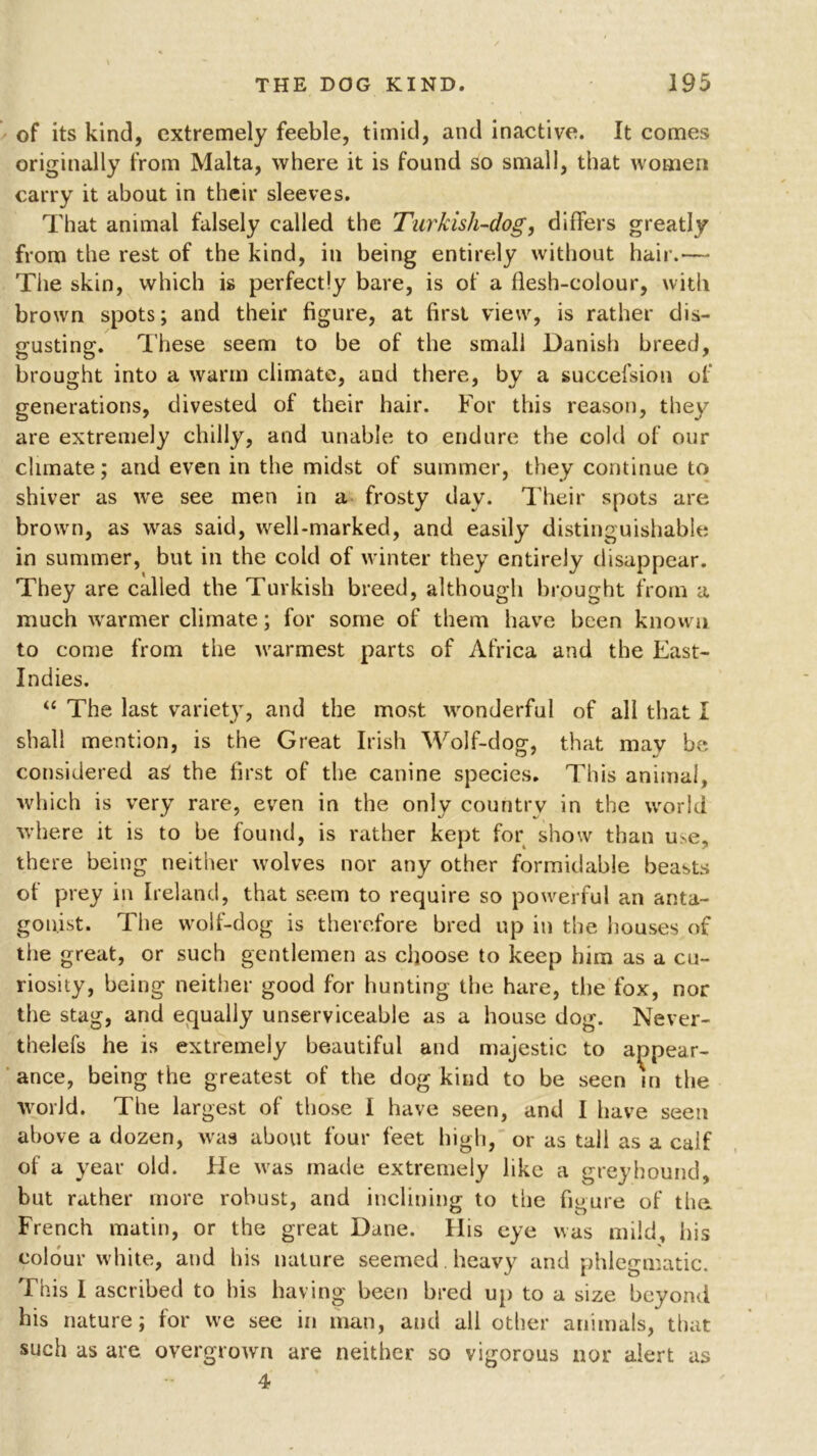 of its kind, extremely feeble, timid, and inactive. It comes originally from Malta, where it is found so small, that women carry it about in their sleeves. That animal falsely called the Turkisli-dog, differs greatly from the rest of the kind, in being entirely without hair.— The skin, which is perfectly bare, is of a flesh-colour, with brown spots; and their figure, at first view, is rather dis- gusting. These seem to be of the small Danish breed, brought into a warm climate, and there, by a suecefsion of generations, divested of their hair. For this reason, they are extremely chilly, and unable to endure the cold of our climate; and even in the midst of summer, they continue to shiver as we see men in a frosty day. Their spots are brown, as was said, well-marked, and easily distinguishable in summer, but in the cold of winter they entirely disappear. They are called the Turkish breed, although brought from a much warmer climate; for some of them have been known to come from the warmest parts of Africa and the East- Indies. “ The last variety, and the most wonderful of all that I shall mention, is the Great Irish Wolf-dog, that mav be considered aS the first of the canine species. This animal, which is very rare, even in the only country in the world where it is to be found, is rather kept for show than use, there being neither wolves nor any other formidable beasts of prey in Ireland, that seem to require so powerful an anta- gonist. The wolf-dog is therefore bred up in the houses of the great, or such gentlemen as choose to keep him as a cu- riosity, being neither good for hunting the hare, the fox, nor the stag, and equally unserviceable as a house dog. Never- thelefs he is extremely beautiful and majestic to appear- ance, being the greatest of the dog kind to be seen in the world. The largest of those I have seen, and I have seen above a dozen, was about four feet high, or as tall as a calf of a year old. He was made extremely like a greyhound, but rather more robust, and inclining to the figure of the French matin, or the great Dane. His eye was mild, his colour white, and his nature seemed heavy and phlegmatic. This I ascribed to his having been bred up to a size beyond his nature; for we see in man, and all other animals, that such as are overgrown are neither so vigorous nor alert as 4