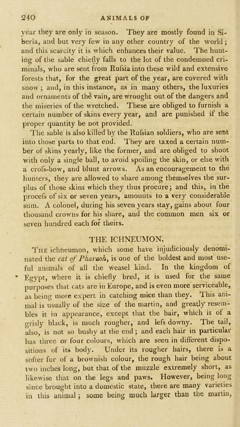 year they are only in season. They are mostly found in Si- beria, and but very few in any other country of the world; and this scarcity it is which enhances their value. The hunt- ing of the sable chiefly falls to the lot of the condemned cri- minals, who are sent from Rufsia into these wild and extensive forests that, for the great part of the year, are covered with snow; and, in this instance, as in many others, the luxuries and ornaments of the vain, are wrought out of the dangers and the miseries of the wretched. These are obliged to furnish a certain number of skins every year, and are punished if the proper quantity be not provided. The sable is also killed by the Rufsian soldiers, who are sent into those parts to that end. They are taxed a certain num- ber of skins yearly, like the former, and are obliged to shoot with only a single ball, to avoid spoiling the skin, or else with a crofs-bow, and blunt arrows. As an encouragement to the hunters, they are allowed to share among themselves the sur- plus of those skins which they thus procure; and this, in the procefs of six or seven years, amounts to a very considerable sum. A colonel, during his seven years stay, gains about four thousand crowns for his share, and the common men six or seven hundred each for theirs. THE ICHNEUMON. The ichneumon, which some have injudiciously denomi- nated the cat of Pharaoh, is one of the boldest and most use- ful animals of all the weasel kind. In the kingdom of Egypt, where it is chiefly bred, it is used for the same purposes that cats are in Europe, and is even more serviceable, as being more expert in catching mice than they. 1 his ani- mal is usually of the size of the martin, and greatly resem- bles it in appearance, except that the hair, which is oi a grisly black, is much rougher, and lefs downy. The tail, also, is not so bushy at the end ; and each hair in particular has three or four colours, which are seen in different dispo- sitions of its body7. Under its rougher hairs, there is a softer fur of a brownish colour, the rough hair being about two inches long, but that of the muzzle extremely short, as likewise that on the legs and paws. However, being long since brought into a domestic state, there are many varieties in this animal; some being much larger than the martin,