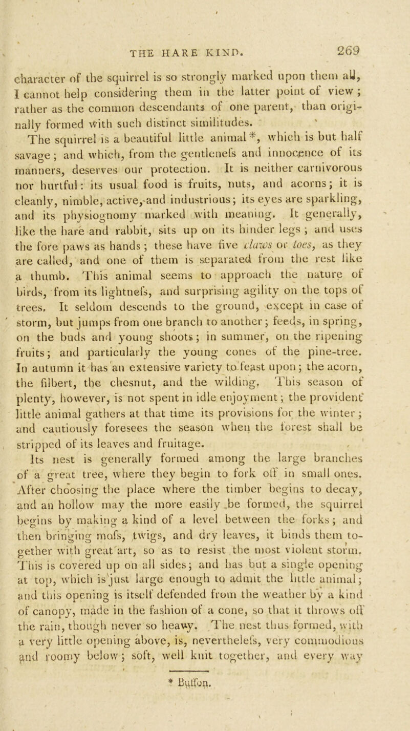 character of the squirrel is so strongly marked upon them alj, I cannot help considering them in the latter point of view ; rather as the common descendants of one parent, than origi- nally formed with such distinct similitudes. The squirrel is a beautiful little animal*, which is but half savage; and which, from the gentlenefs and innocence of its manners, deserves our protection. It is neither carnivorous nor hurtful: its usual food is fruits, nuts, and acorns; it is cleanly, nimble, active,-and industrious; its eyes are sparkling, and its physiognomy marked with meaning. It generally, like the hare and rabbit, sits up on its hinder legs ; and uses the fore paws as hands; these have five claws or toes, as they are called, and one of them is separated from the rest like a thumb. This animal seems to approach the nature of birds, from its lightnefs, and surprising agility on the tops ol trees, It seldom descends to the ground, except in case of storm, but jumps from one branch to another; feeds, in spring, on the buds and young shoots; in summer, on the ripening fruits; and particularly the young cones of the pine-tree. In autumn it has an extensive variety to feast upon; the acorn, the filbert, the chesnut, and the wilding. This season of plenty, however, is not spent in idle enjoyment; the provident little animal gathers at that time its provisions for the winter; and cautiously foresees the season when the forest shall be stripped of its leaves and fruitage. Its nest is generally formed among the large branches of a great tree, where they begin to fork off in small ones. After choosing the place where the timber begins to decay, and an hollow may the more easily be formed, the squirrel begins by making a kind of a level between the forks; and then bringing mofs, twigs, and dry leaves, it binds them to- gether with great art, so as to resist the most violent storm. This is covered up on all sides; and has but a single opening at top, which is just large enough to admit the little animal; *■ and this opening is itself defended from the weather by a kind of canopy, made in the fashion of a cone, so that it throws oil the rain, though never so heavy. The nest thus formed, with a very little opening above, is, neverthelefs, very commodious gnd roomy below; soft, well knit together, and every way