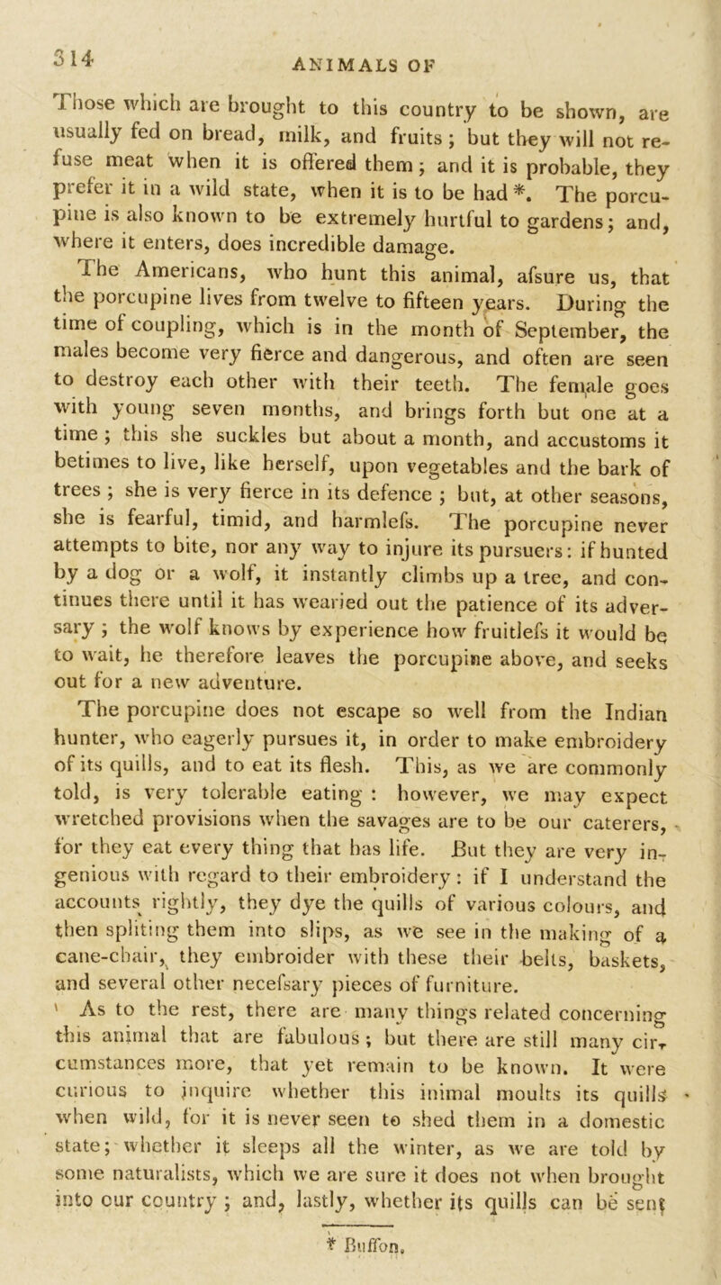 3 14- 1 hose which are brought to this country to be shown, are usually fed on bread, milk, and fruits ; but they will not re- luse meat when it is offered them; and it is probable, they prefer it in a wild state, when it is to be had *. The porcu- pine is also known to be extremely hurtful to gardens; and, where it enters, does incredible damage. I he Americans, who hunt this animal, afsure us, that the porcupine lives from twelve to fifteen years. During the time of coupling, which is in the month of September, the males become very fierce and dangerous, and often are seen to destroy each other with their teeth. The female goes with young seven months, and brings forth but one at a time ; this she suckles but about a month, and accustoms it betimes to live, like herself, upon vegetables and the bark of trees ; she is very fierce in its defence ; but, at other seasons, she is fearful, timid, and harmlefs. The porcupine never attempts to bite, nor any way to injure its pursuers: if hunted by a dog or a wolf, it instantly climbs up a tree, and con- tinues there until it has wearied out the patience of its adver- sary ; the wolf knows by experience how fruitlefs it would be to wait, he therefore leaves the porcupine above, and seeks out for a new adventure. The porcupine does not escape so ^vell from the Indian hunter, who eagerly pursues it, in order to make embroidery of its quills, and to eat its flesh. This, as we are commonly told, is very tolerable eating : however, we may expect wretched provisions when the savages are to be our caterers, for they eat every thing that has life. But they are very in- genious with regard to their embroidery: if I understand the accounts rightly, they dye the quills of various colours, ancf then spliting them into slips, as we see in the making of a cane-chair,v they embroider with these their belts, baskets, and several other necefsary pieces of furniture. ' As to the rest, there are many things related concerning this animal that are fabulous ; but there are still many cirT cumstances more, that yet remain to be known. It were curious to inquire whether this inimal moults its quills when wild, for it is never seen to shed them in a domestic state; whether it sleeps all the winter, as we are told by some naturalists, which we are sure it does not when brought into cur country ; and, lastly, whether its quills can be sent t Bulfon,