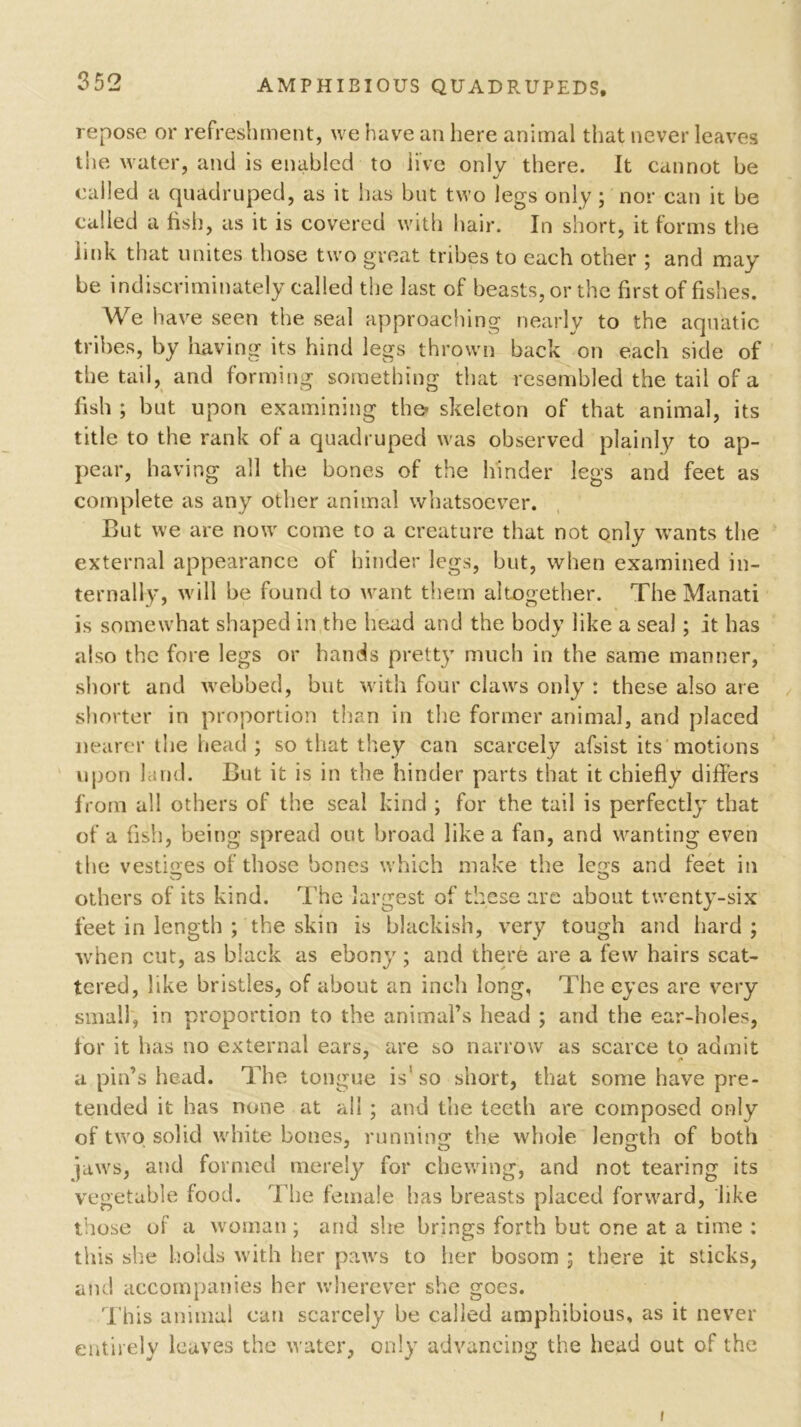 repose or refreshment, we have an here animal that never leaves the water, and is enabled to live only there. It cannot be called a quadruped, as it has but two legs only; nor can it be called a fish, as it is covered with hair. In short, it forms the link that unites those two great tribes to each other ; and may be indiscriminately called the last of beasts, or the first of fishes. We have seen the seal approaching nearly to the aquatic tribes, by having its hind legs thrown back on each side of the tail, and forming something that resembled the tail of a fish ; but upon examining the* skeleton of that animal, its title to the rank of a quadruped was observed plainly to ap- pear, having all the bones of the hinder legs and feet as complete as any other animal whatsoever. But we are now come to a creature that not only wants the external appearance of hinder legs, but, when examined in- ternally, will be found to want them altogether. The Manati is somewhat shaped in the head and the body like a seal; it has also the fore legs or hands pretty much in the same manner, short and webbed, but with four claws only : these also are shorter in proportion than in the former animal, and placed nearer the head ; so that they can scarcely afsist its motions upon land. But it is in the hinder parts that it chiefly differs from all others of the seal kind ; for the tail is perfectly that of a fish, being spread out broad like a fan, and wanting even the vestiges of those bones which make the legs and feet in others of its kind. The largest of these are about twenty-six feet in length ; the skin is blackish, very tough and hard ; when cut, as black as ebony; and there are a few hairs scat- tered, like bristles, of about an inch long, The eyes are very small, in proportion to the animal’s head ; and the ear-holes, tor it has no external ears, are so narrow as scarce to admit * t* a pin’s head. The tongue is so short, that some have pre- tended it has none at ail ; and the teeth are composed only of two solid white bones, running the whole length of both jaws, and formed merely for chewing, and not tearing its vegetable food. The female has breasts placed forward, like those of a woman ; and she brings forth but one at a time : this she holds with her paws to her bosom ; there it sticks, and accompanies her wherever she goes. This animal can scarcely be called amphibious, as it never entirely leaves the water, only advancing the head out of the i