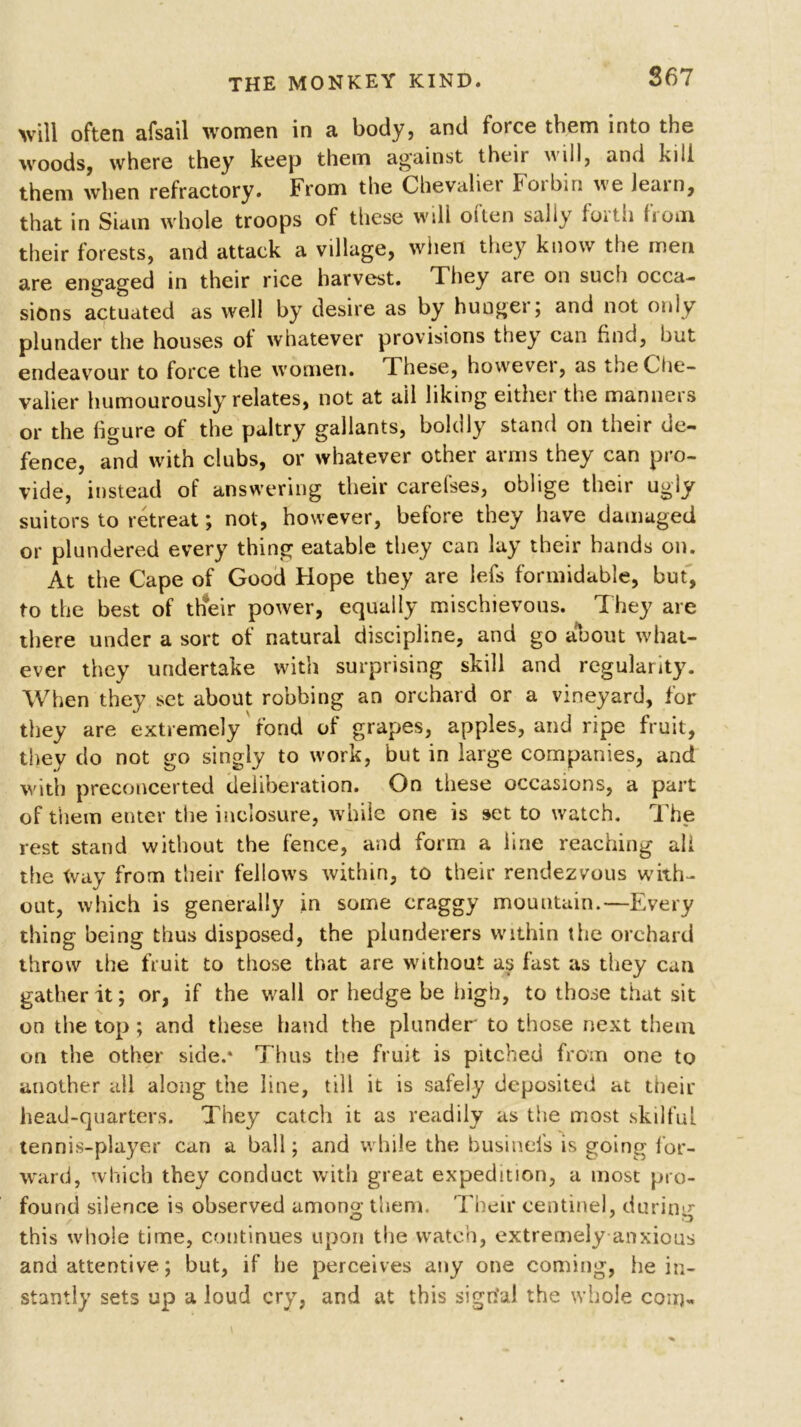 S67 will often afsail women in a body? and foice them into the woods, where they keep them against their will, and kill them when refractory. From the Chevalier Foibin we learn, that in Siam whole troops of these will often sally forth from their forests, and attack a village, when they know the men are engaged in their rice harvest. They are on such occa- sions actuated as well by desire as by hungei; and not only plunder the houses ot whatever provisions they can find, but endeavour to force the women. These, howevei, as the Che- valier humourously relates, not at ail liking either the manners or the figure of the paltry gallants, boldly stand on their de- fence, and with clubs, or whatever other arms they can pro- vide, instead of answering their carefses, oblige their ugly suitors to retreat; not, however, before they have damaged or plundered every thing eatable they can lay their hands on. At the Cape of Good Hope they are lefs formidable, but, to the best of their power, equally mischievous. They are there under a sort of natural discipline, and go a*bout what- ever they undertake with surprising skill and regularity. When they set about robbing an orchard or a vineyard, for they are extremely fond of grapes, apples, and ripe fruit, they do not go singly to work, but in large companies, and with preconcerted deliberation. On these occasions, a part of them enter the inclosure, while one is set to watch. The rest stand without the fence, and form a line reaching all the tvay from their fellows within, to their rendezvous with- out, which is generally in some craggy mountain.—Every thing being thus disposed, the plunderers within the orchard throw the fruit to those that are without as fast as they can gather it; or, if the wall or hedge be high, to those that sit on the top; and these hand the plunder to those next them on the other side.* Tims the fruit is pitched from one to another all along the line, till it is safely deposited at their head-quarters. They catch it as readily as the most skilful tennis-player can a ball; and while the businefs is going for- ward, which they conduct with great expedition, a most pro- found silence is observed amono- them. Their centinel, durimr this whole time, continues upon the watch, extremely anxious and attentive; but, if be perceives any one coming, he in- stantly sets up a loud cry, and at this sigdal the whole com-