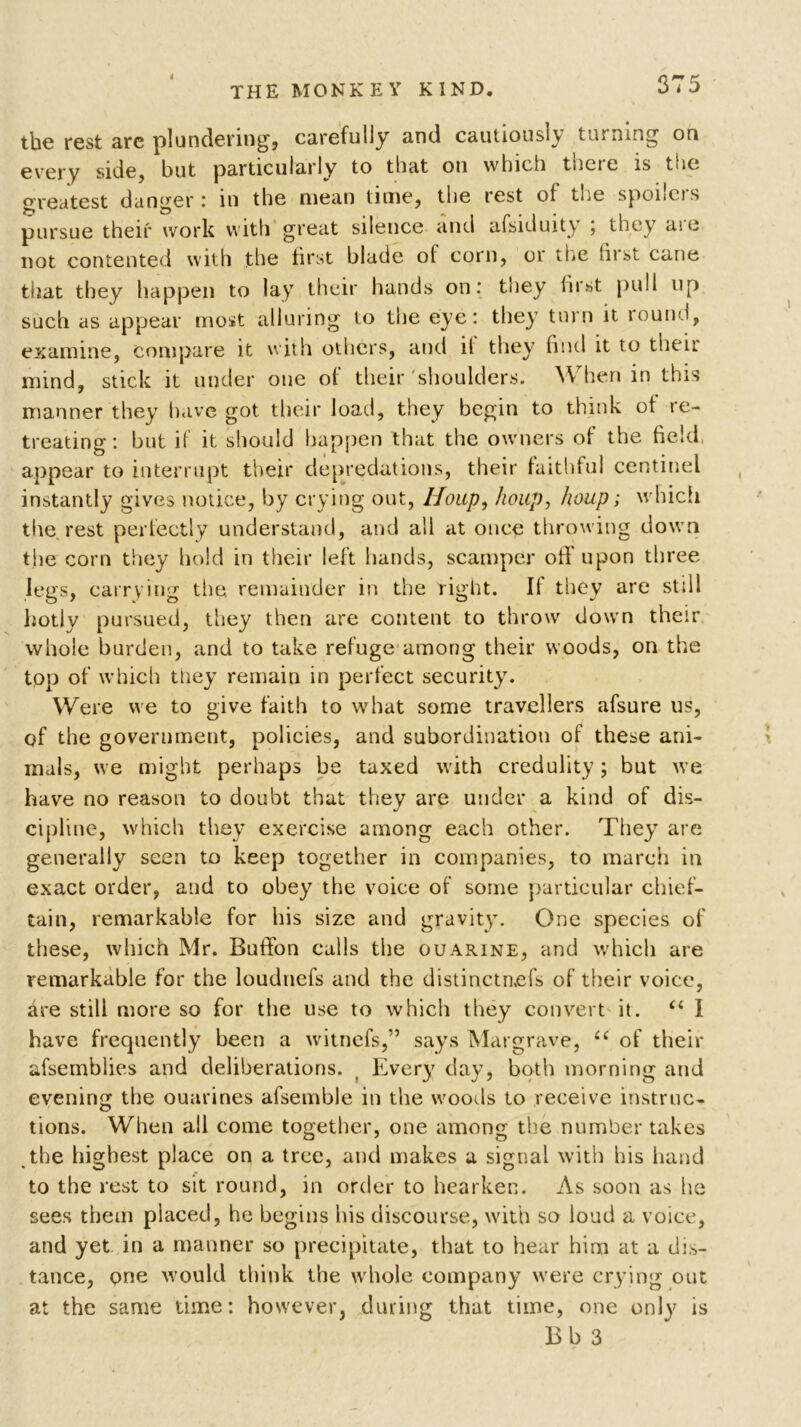 the rest are plundering, carefully and cautiously turning on every side, but particularly to that on which there is the greatest danger : in the mean time, the rest of the sponcis pursue their work with great silence and afsiduity ; they are not contented with the first blade ol coin, 01 the hist cane that they happen to lay their hands on: they first pull up such as appear most alluring to the eye: they turn it round, examine, Compare it with others, and il they find it to their mind, stick it under one of their 'shoulders. When in this manner they have got their load, they begin to think of re- treating: hut il it should happen that the owners of the field appear to interrupt their depredations, their faithful centinel instantly gives notice, by crying out, Houp, houp, houp; which the rest perfectly understand, and all at once throwing down the corn they hold in their left hands, scamper off upon three legs, carrying the. remainder in the right. If they are stdl hotly pursued, they then are content to throw down their whole burden, and to take refuge among their woods, on the top of which they remain in perfect security. Were we to give faith to what some travellers afsure us, of the government, policies, and subordination of these ani- mals, we might perhaps he taxed with credulity; but we have no reason to doubt that they are under a kind of dis- cipline, which they exercise among each other. They are generally seen to keep together in companies, to march in exact order, and to obey the voice of some particular chief- tain, remarkable for his size and gravity. One species of these, which Mr, Buffon calls the ouarine, and which are remarkable for the loudnefs and the distinctaefs of their voice, are still more so for the use to which they convert it. “ I have frequently been a witnefs,” says Margrave, <c of their afsembiies and deliberations. t Every day, both morning and evening the ouarines afsemble in the woods to receive instruc- tions. When all come together, one among the number takes the highest place on a tree, and makes a signal with his hand to the rest to sit round, in order to hearken. As soon as he sees them placed, he begins his discourse, with so loud a voice, and yet in a manner so precipitate, that to hear him at a dis- tance, one would think the whole company were crying out at the same time: however, during that time, one only is Bh 3