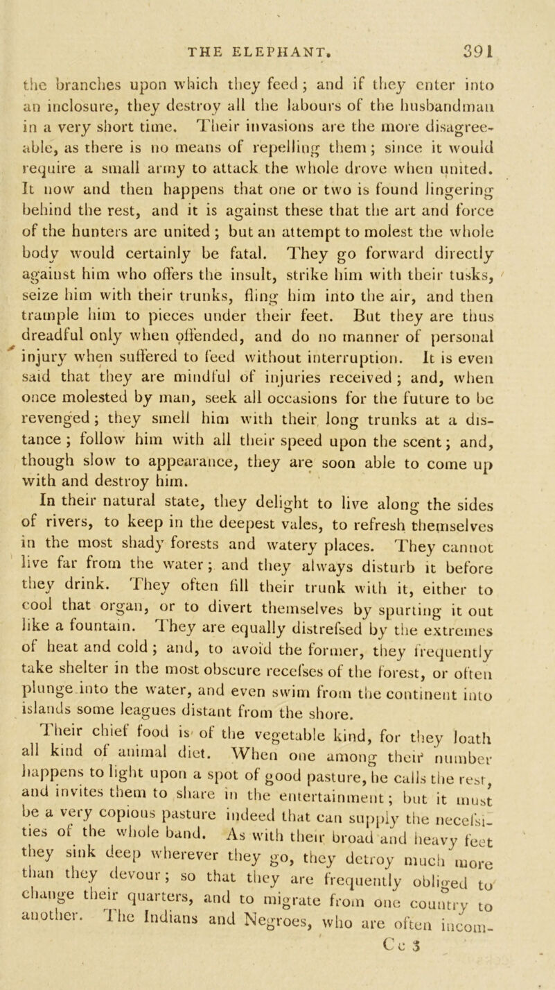 the branches upon which they feed ; and if they enter into an inclosure, they destroy all the labours of the husbandman in a very short time. Their invasions are the more disagree- able, as there is no means of repelling them; since it would require a small army to attack the whole drove when united. It now and then happens that one or two is found lingering behind the rest, and it is against these that the art and force of the hunters are united ; but an attempt to molest the whole body would certainly be fatal. They go forward directly against him who offers the insult, strike him with their tusks, seize him with their trunks, fling him into the air, and then trample him to pieces under their feet. But they are thus dreadful only when pffended, and do no manner of personal injury when suffered to feed without interruption. It is even said that they are mindful of injuries received ; and, when once molested by man, seek all occasions for the future to be revenged ; they smell him with their long trunks at a dis- tance ; follow him with all their speed upon the scent; and, though slow to appearance, they are soon able to come up with and destroy him. In their natural state, they delight to live along the sides of rivers, to keep in the deepest vales, to refresh themselves in the most shady forests and watery places. They cannot live far from the water; and they always disturb it before they drink. 'Ihey often fill their trunk with it, either to cool that organ, or to divert themselves by spurting it out like a fountain. I hey are equally distrefsed by the extremes of heat and cold ; and, to avoid the former, they frequently take shelter in the most obscure reccfscs of the forest, or often plunge into the water, and even swim from tlie continent into islands some leagues distant from the shore. Their chief food is- of the vegetable kind, for they loath all kind of animal diet. When one among theip number happens to light upon a spot of good pasture, lie calls tiie rest, and invites them to share in the entertainment; but it must be a veiy copious pasture indeed that can supply the necefsi- ties of the whole band. As with their broad and heavy feet they sink deep wherever they go, they detroy much more t ian they devour; so that they are frequently obliged to change their quarters, and to migrate from one country to another. 1 he Indians and Negroes, who are often iucom- Cc 3