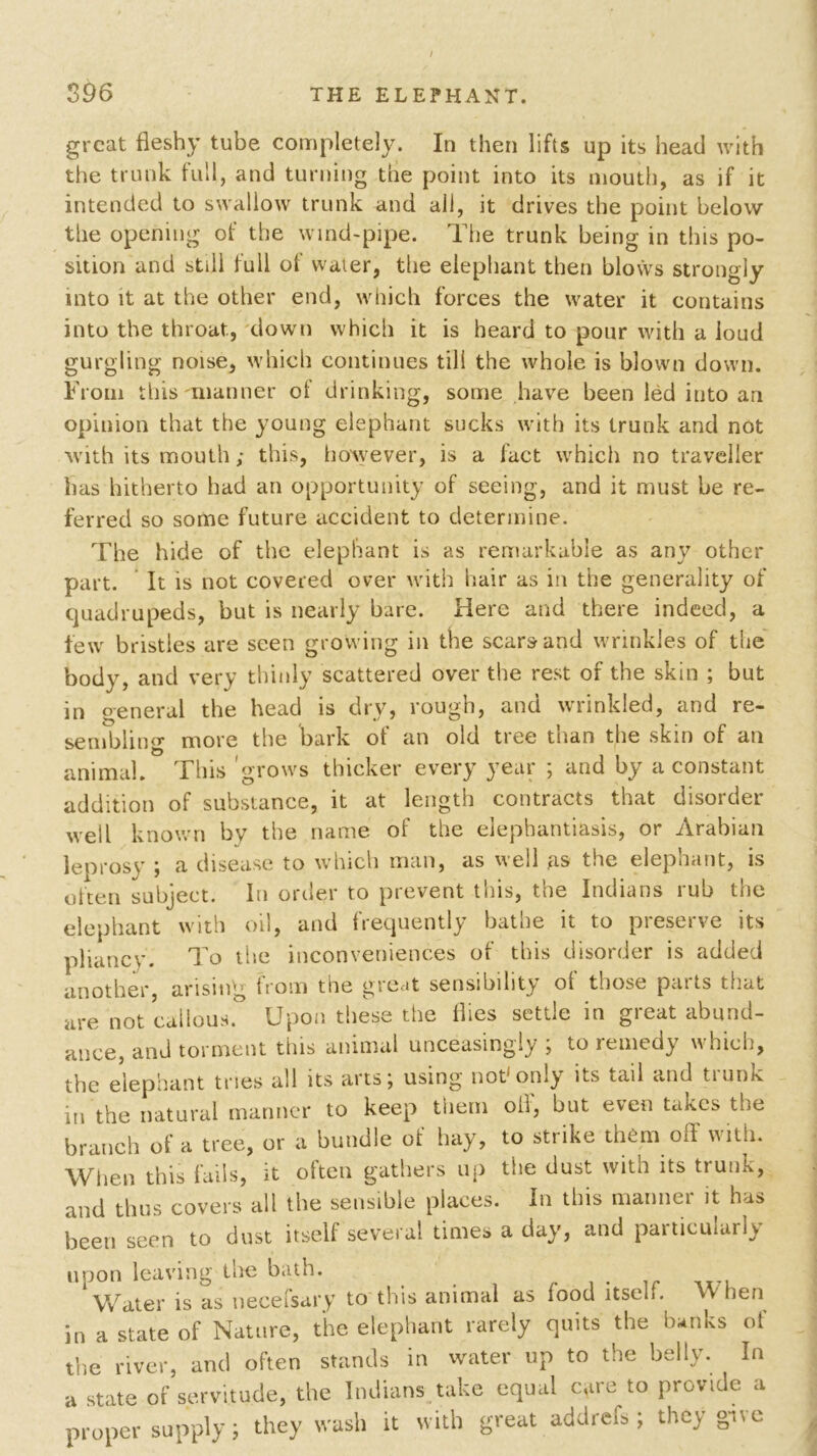 great fleshy tube completely. In then lifts up its head with the trunk full, and turning the point into its mouth, as if it intended to swallow trunk and all, it drives the point below the opening of the wind-pipe. The trunk being in this po- sition and still full of water, the elephant then blows strongly into it at the other end, which forces the water it contains into the throat, down which it is heard to pour with a loud gurgling noise, which continues till the whole is blown down. From this manner of drinking, some have been led iuto an opinion that the young elephant sucks with its trunk and not with its mouth; this, however, is a fact which no traveller has hitherto had an opportunity of seeing, and it must be re- ferred so some future accident to determine. The hide of the elephant is as remarkable as any other part. It is not covered over with hair as in the generality of quadrupeds, but is nearly bare. Here and there indeed, a few bristles are seen growing in the scars and wrinkles of the body, and very thinly scattered over the rest of the skin ; but in general the head is dry, rough, and wrinkled, and re- sembling more the bark of an old tree than the skin of an animal. This 'grows thicker every year ; and by a constant addition of substance, it at length contracts that disorder well known by the name of the elephantiasis, or Arabian leprosy ; a disease to which man, as well as the elephant, is often subject. In order to prevent this, the Indians rub the elephant with oil, and frequently bathe it to preserve its pliancy. To the inconveniences of this disorder is added another, arising from the great sensibility of those parts that are not callous. Upon these the flies settle in great abund- ance, and torment tins animal unceasingly ; to remedy which, the elephant tries all its arts; using not1 only its tail and tiunk in the natural manner to keep them oif, but even takes the branch of a tree, or a bundle of hay, to strike them off with. When this fails, it often gathers up the dust with its trunk, and thus covers all the sensible places. In this manner it has been seen to dust itself several times a day, and particularly upon leaving the bath. . ir ,I7U Water is as necefsary to this animal as food itself. When in a state of Nature, the elephant rarely quits the banks of the river, and often stands in water up to the belly. In a state of servitude, the Indians take equal care to provide a proper supply; they wash it with great add refs ; they give