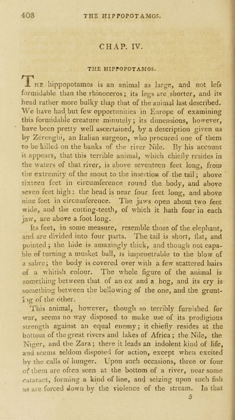 CHAP. IV. \ THE HIPFOPOTAMOS. HP JL he hippopotamos is an animal as large, and not lefs formidable than the rhinoceros; its legs are shorter, and its head rather more bulky than that of the animal last described. We have had but few opportunities in Europe of examining this formidable creature minutely; its dimensions, however, have been pretty well ascertained, by a description given us by Zerenghi, an Italian surgeon, who procured one of them to be killed on the banks of the river Nile. By his account it appears, that this terrible animal, which chiefly resides in the waters of that river, is above seventeen feet long, from the extremity of the snout to the insertion of the tail; above sixteen feet in circumference round the body, and above seven feet high: the head is near four feet long, and above nine feet in circumference. The jaws open about two feet wide, and the cutting-teeth, of which it hath four in each jaw, are above a foot long. Its feet, in some measure, resemble those of the elephant, and are divided into four parts. The tail is short, flat, and pointed ; the hide is amazingly thick, and though not capa- ble of turning a musket ball, is impenetrable to the blow of a sabre; the body is covered over with a few scattered hairs of a whitish colour. The whole figure of the animal is something between that of an ox and a hog, and its cry is' something between the bellowing of the one, and the grunt- I ig of the other. This animal, however, though so terribly furnished for war, seems no way disposed to make use of its prodigious strength against an equal enemy; it chiefly resides at the bottom of the great rivers and lakes of Africa; the Nile, the Niger, and the Zara; there it leads an indolent kind of life, and seems seldom disposed for action, except when excited by the calls oi’ hunger. Upon such occasions, three or four of them are often seen at the bottom of a river, near some cataract, forming a kind of line, and seizing upon such fish as are forced down by the violence of the stream. In that