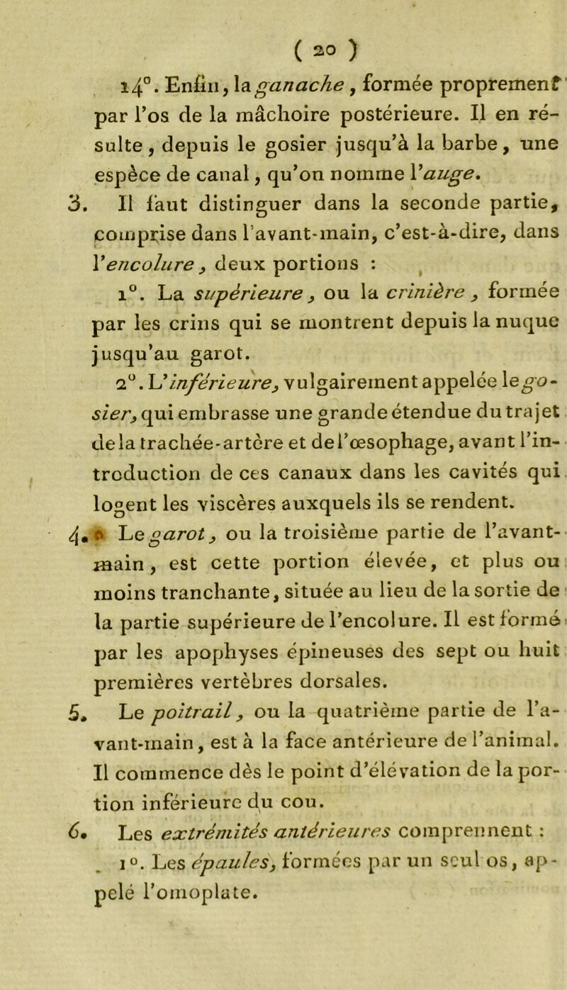 i4°. Enfin, la ganache, formée proprement par l’os de la mâchoire postérieure. Il en ré- sulte, depuis le gosier jusqu’à la barbe, une espèce de canal, qu’on nomme Y auge. 3. Il faut distinguer dans la seconde partie, comprise dans Vavant-main, c’est-à-dire, dans Y encolure , deux portions : i°. La supérieure , ou la crinière , formée par les crins qui se montrent depuis la nuque jusqu’au garot. a°. L'inférieure, vulgairement appelée le go- sier^ qui embrasse une grande étendue du trajet delà trachée-artère et de l’œsophage, avant l’in- troduction de ces canaux dans les cavités qui logent les viscères auxquels ils se rendent. 4. o, Le garot, ou la troisième partie de l’avant- main, est cette portion élevée, et plus ou moins tranchante, située au lieu de la sortie de la partie supérieure de l’encolure. Il est formé par les apophyses épineuses des sept ou huit premières vertèbres dorsales. 5* Le poitrail, ou la quatrième partie de l’a- vant-main, est à la face antérieure de l’animal. Il commence dès le point d’élévation de la por- tion inférieure du cou. 6. Les extrémités antérieures comprennent : iLes épaules, formées par un seul os, ap- pelé l’omoplate.