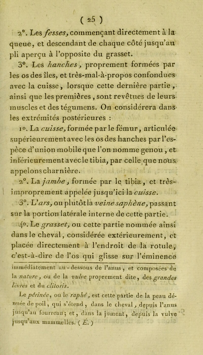 ( *5 ) 2,°. Les fesses, commençant directement à la queue, et descendant de chaque côté jusqu’au pli aperçu à l’opposite du grasset. 3°. Les hanches, proprement formées par les os des îles, et très-mal-à-propos confondues avec la cuisse, lorsque cette dernière partie, ainsi que les premières , sont revêtues de leurs muscles et des téommens. On considérera dans O les extrémités postérieures : i°. La cuissey formée par le fémur, articulée supérieurement avec les os des hanches par l'es- pèce d’union mobile que l’on nomme genou , et inférieurement avec le tibia, par celle que nous appelons charnière. 2°. La jambe} formée par le tibia, et très- improprement appelée jusqu’ici la cuisse. 3°. UarSy ou plutôtla veine saphène y passant sur la portion latérale interne de cette partie. 4°. Le grasset, ou cette partie nommée ainsi dans le cheval, considérée extérieurement, et placée directement à l’endroit de la rotule, c’est-à-dire de l’os qui glisse sur l’éminence immédiatement au-dessous de l’anus, et composées de la nature, ou de la vulve proprement dite, des grandes lèvres et du clitoris. Le périnée, ou le raphé, est cette partie de la peau dé- nuée de poil, qui s’étend, dans le cheval, depuis l’anus jusqu’au fourreau; et, dans la jument, depuis la vulve jusqu’aux mammelles. ( É. )