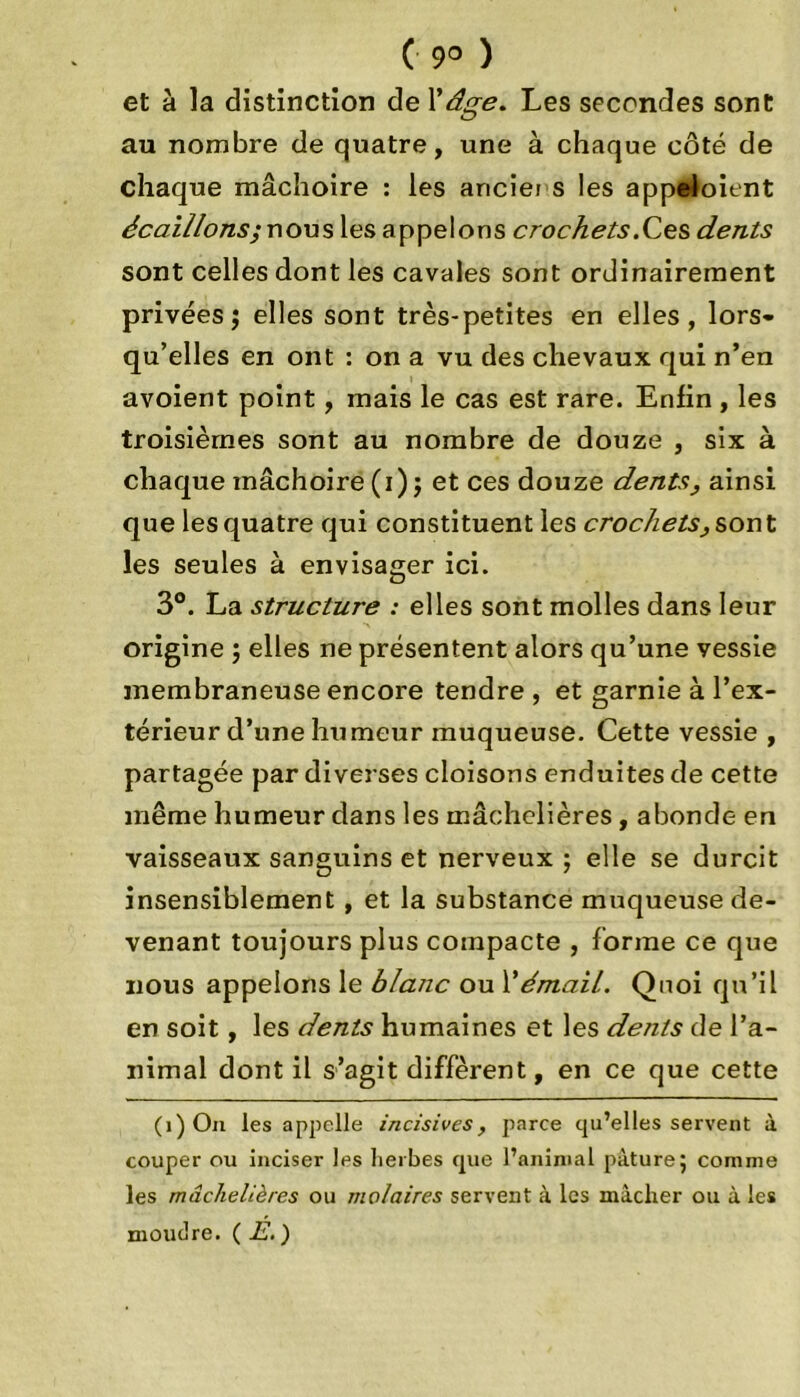 ( 9° ) et à la distinction de \ âge. Les secondes sont au nombre de quatre, une à chaque côté de chaque mâchoire : les ariciet s les appeloient écaillons; nous les appelons crochets.Ces dents sont celles dont les cavales sont ordinairement privées $ elles sont très-petites en elles, lors- qu’elles en ont : on a vu des chevaux qui n’en avoient point, mais le cas est rare. Enfin , les troisièmes sont au nombre de douze , six à chaque mâchoire (i); et ces douze dents, ainsi que les quatre qui constituent les crochets, sont les seules à envisager ici. 3°. La structure : elles sont molles dans leur origine ; elles ne présentent alors qu’une vessie membraneuse encore tendre , et garnie à l’ex- térieur d’une humeur muqueuse. Cette vessie , partagée par diverses cloisons enduites de cette même humeur dans les mâchelières, abonde en vaisseaux sanguins et nerveux ; elle se durcit insensiblement , et la substance muqueuse de- venant toujours plus compacte , forme ce que nous appelons le blanc ou 1*émail. Quoi qu’il en soit, les dents humaines et les dents de l’a- nimal dont il s’agit diffèrent, en ce que cette (i)On les appelle incisives, parce cju’elles servent à couper ou inciser les herbes que l’animal pâture; comme les mâchelières ou molaires servent à les mâcher ou à les moudre. ( E. )