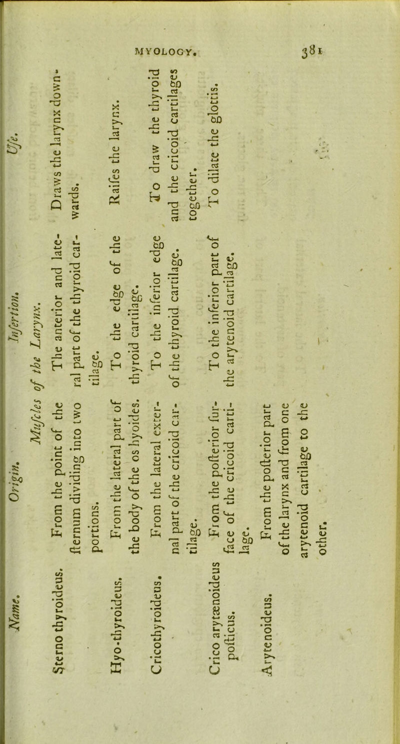 4-> -C3 «o *- ns >4 — -C '*-■ £ 173 -a <-> . <L» • «—4 CO p c ’Xi 4-J 0 *-> 0 CL O 1— CL 0 X) 4J X *-* 0 s_ nal par tilage. %z O o 1) <L <-» tn CO CO 3 3 a nj ♦ —« • »-L o o I- fc. t3—« G ~c =>-4 ¥ —4 *— 3 G3 • r4 a « . 4-* CO :>s 3 l- U O S Arytenoideus. From the pofterior part other.