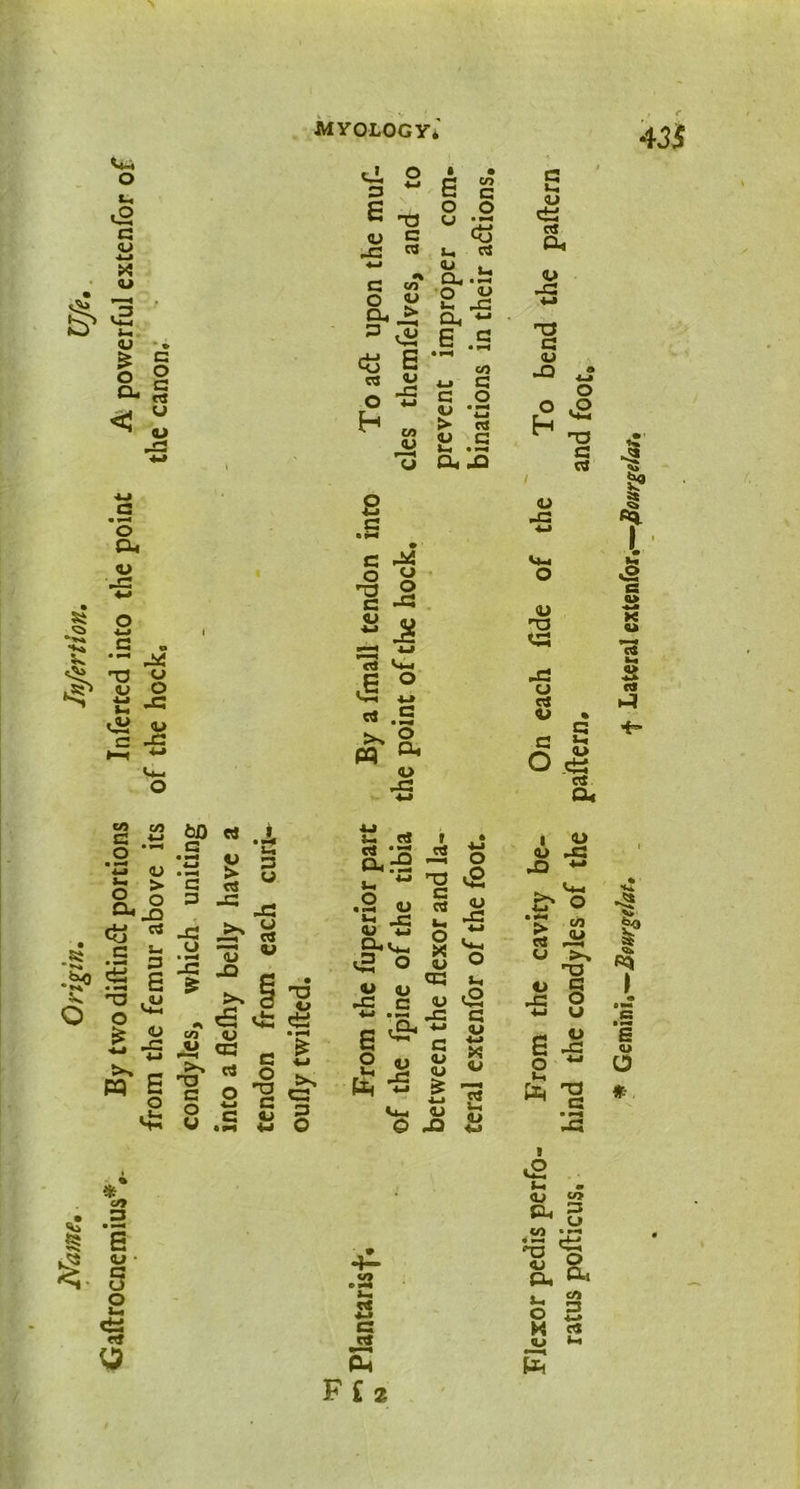 Name, Origin, Injertion. Ufe, <jaftrocnemiu$v By two diftinft portions Inferted into the point A powerful extenfor of from the femur above its of the hock, the canon. D. £ • • . CL ■- cl « 6 .2 C/1 cj CL JQ <L> ^ T3 I I *JS ,6 ° .2 <u £ <U <-J <2 o <U <U <-C c 3.8 6 2 jg £ S ,CL *-• O X Q <u ° <X3 g <U eg ~c G 4J G a, * <u B g _o & -Q <«j <o TJ « JG o .2 o % fiT ^ <L> G o S <L> .*! J3 *-» d CL u d j 6 i 4> d • — CL.-2 d —t 4-» o rv be JG 4-, &• o «-» > CO d ^ T3 O G ■5 8 6 J8 o 4J to -p ^ G K W s c* h3 •<» So I* S3 ‘s <u o I •P .53 B 2 G d £ F£2 u> CL 3 U vi • & fi- fe 3 X d <U »-i r *r.