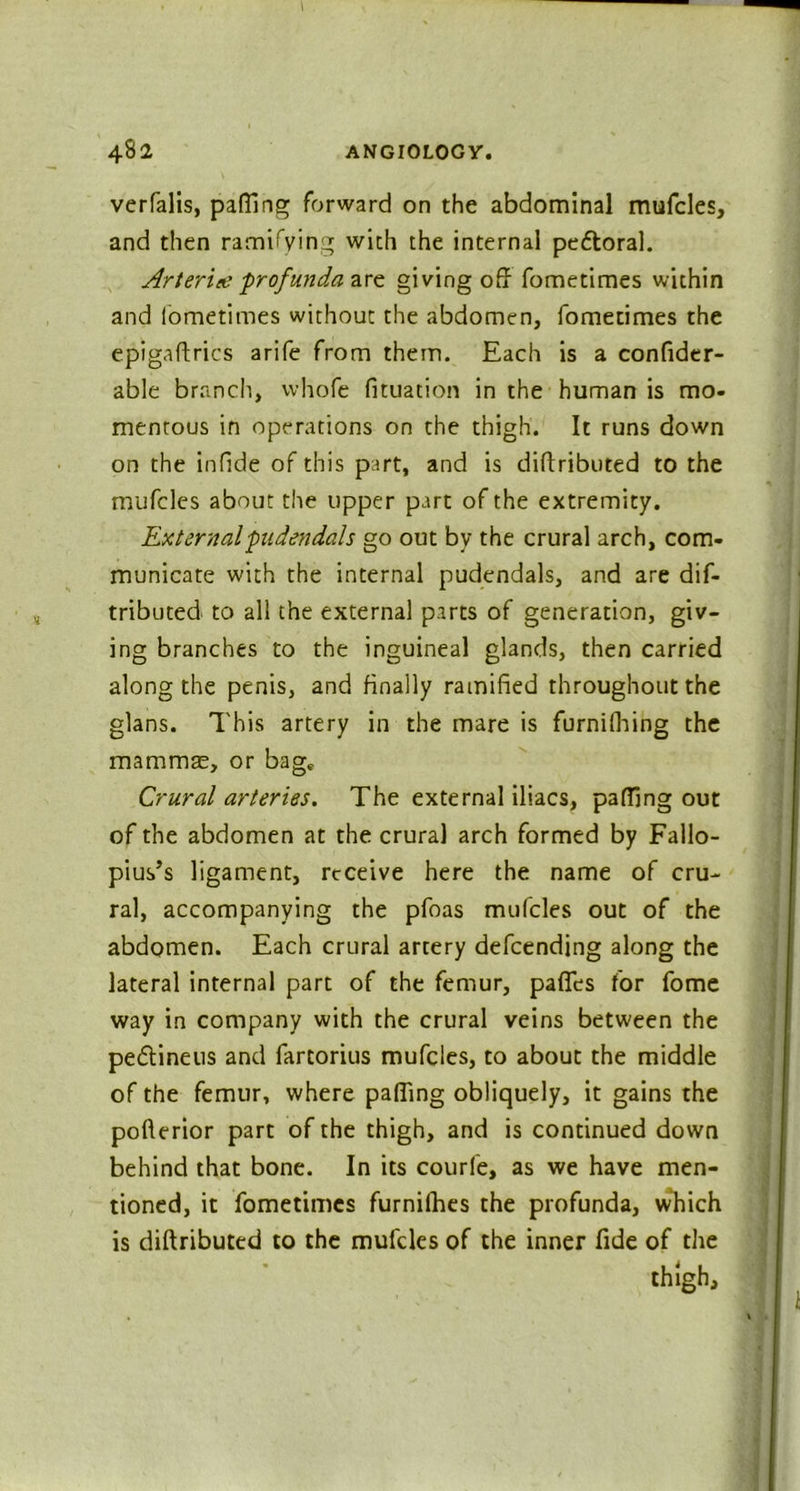 verfalis, patting forward on the abdominal mufcles, and then ramifying with the internal pettoral. Arter'ue profunda are giving off fometimes within and fometimes without the abdomen, fometimes the epigaftrics arife from them. Each is a confider- able branch, vvhofe fituation in the human is mo- mentous in operations on the thigh. It runs down on the infide of this part, and is diftributed to the mufcles about the upper part of the extremity. Externalpudendals go out by the crural arch, com- municate with the internal pudendals, and are dif- tributed to all the external parts of generation, giv- ing branches to the inguineal glands, then carried along the penis, and finally ramified throughout the glans. This artery in the mare is furnifhing the mammas, or bagc Crural arteries. The external iliacs, palling out of the abdomen at the crural arch formed by Fallo- pius’s ligament, receive here the name of cru- ral, accompanying the pfoas mufcles out of the abdomen. Each crural artery defeending along the lateral internal part of the femur, paffes for fome way in company with the crural veins between the pe&ineus and fartorius mufcles, to about the middle of the femur, where palling obliquely, it gains the pofterior part of the thigh, and is continued down behind that bone. In its courfe, as we have men- tioned, it fometimes furnilhes the profunda, which is diftributed to the mufcles of the inner fide of the thigh.