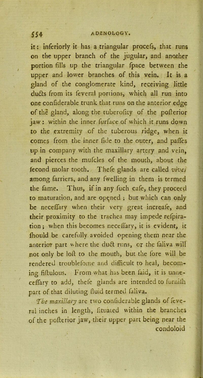 it: inferiorly it has a triangular procefs, that runs on the upper branch of the jugular, and another portion fills up the triangular fpace between the upper and lower branches of this vein. It is a gland of the conglomerate kind, receiving little dudts from its leveral portions, which all run into one confiderable trunk that runs on the anterior edge of the gland, along the tuberofity of the poflerior jaw : within the inner furface of which it runs down to the extremity cf the tuberous ridge, when it comes from the inner fide to the outer, and pafles lip in company with the maxillary artery and vein, and pierces the mufcles of the mouth, about the iecond molar tooth. Thefe glands are called vives among farriers, and any fwelling in them is termed the fame. Thus, if in any fuch cafe, they proceed to maturation, and are opened ; but which can only be necefiary when their very great increafe, and their proximity to the trachea may impede refpira- tion; when this becomes neceffary, it is evident, it Ihould be carefully avoided opening them near the anterior part where the du£t runs, or the faliva will not only be loft to the mouth, but the fore will be rendered troublefome and difficult to heal, becom- ing fiftulous. From what has been laid, it is unne- ceflary to add, thefe glands are intended to furniih part of that diluting fluid termed faliva. The maxillary are two confiderable glands of feve- ral inches in length, fituaied within the branches of the pofterior jaw, their upper part being near the condoloid
