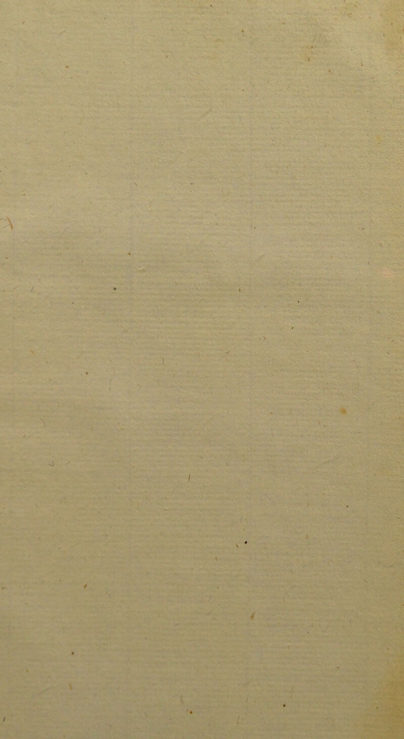 \ / ; / “'wr ^ ■0 . v; iS