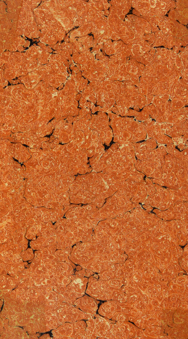 digitised image 2