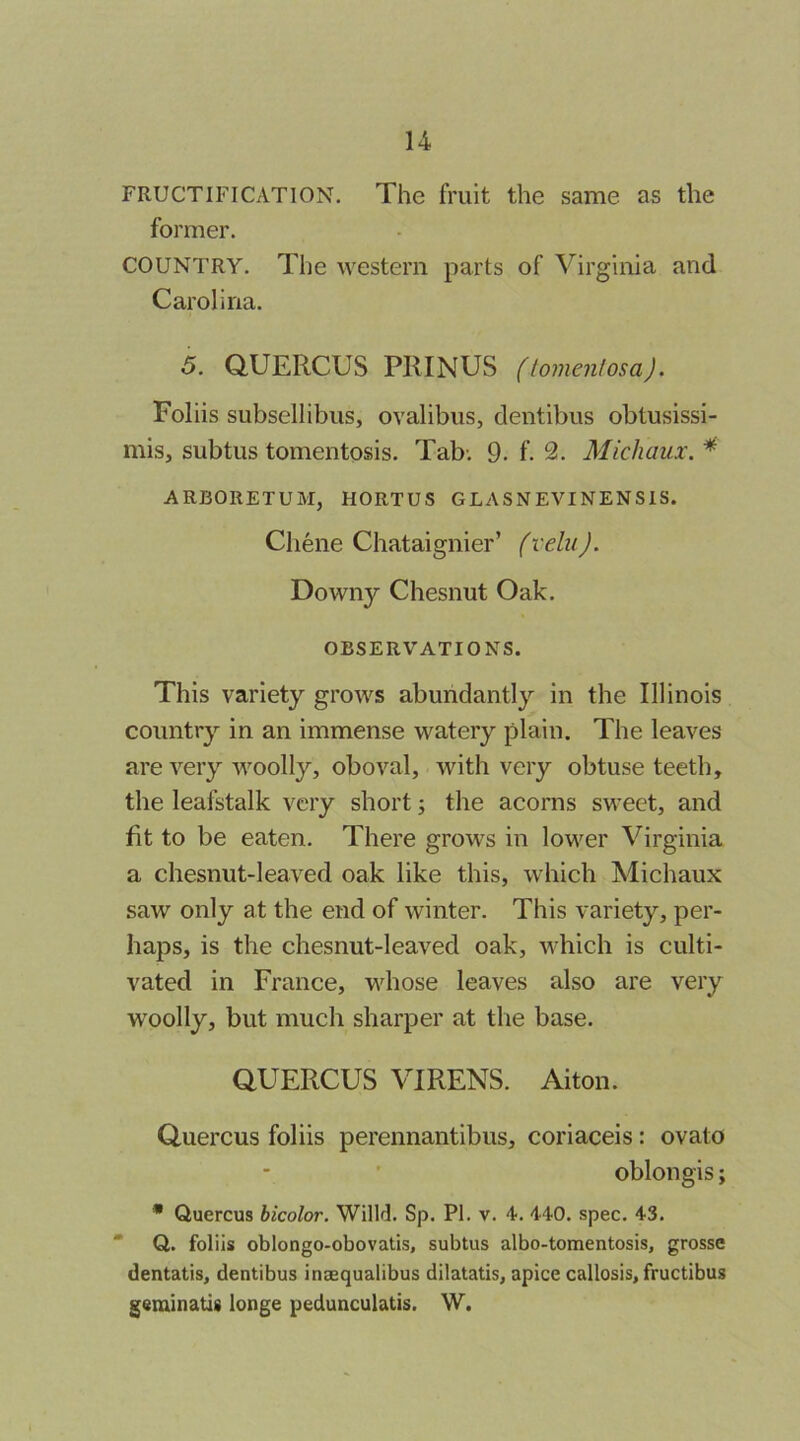 FRUCTIFICATION. The fruit the same as the former. COUNTRY. The western parts of Virginia and Carolina. 5. QUERCUS PRINUS flomen/osaj. Foliis subsellibus, ovalibus, dentibus obtusissi- mis, subtus tomentosis. Tab-. 9. f. 2. Michaux. ^ ARBORETUM, HORTUS GLASNEVINENSIS. Chene Chataignier’ fvein). Downy Chesnut Oak. OBSERVATIONS. This variety grows abundantly in the Illinois country in an immense watery plain. The leaves are very woolly, oboval, with very obtuse teetli, the leafstalk very short; the acorns sweet, and fit to be eaten. There grows in lower Virginia a chesnut-leaved oak like this, which Michaux saw only at the end of winter. This variety, per- haps, is the chesnut-leaved oak, which is culti- vated in France, whose leaves also are very woolly, but much sharper at the base. QUERCUS VIRENS. Alton. Quercus foliis perennantibus, coriaceis: ovato oblongis; • Quercus bicolor. Willd. Sp. PI. v. 4. 440. spec. 4'3. * Q. foliis oblongo-obovatis, subtus albo-tomentosis, grosse dentatis, dentibus inasqualibus dilatatis, apice callosis, fructibus geminatis longe pedunculatis. W.