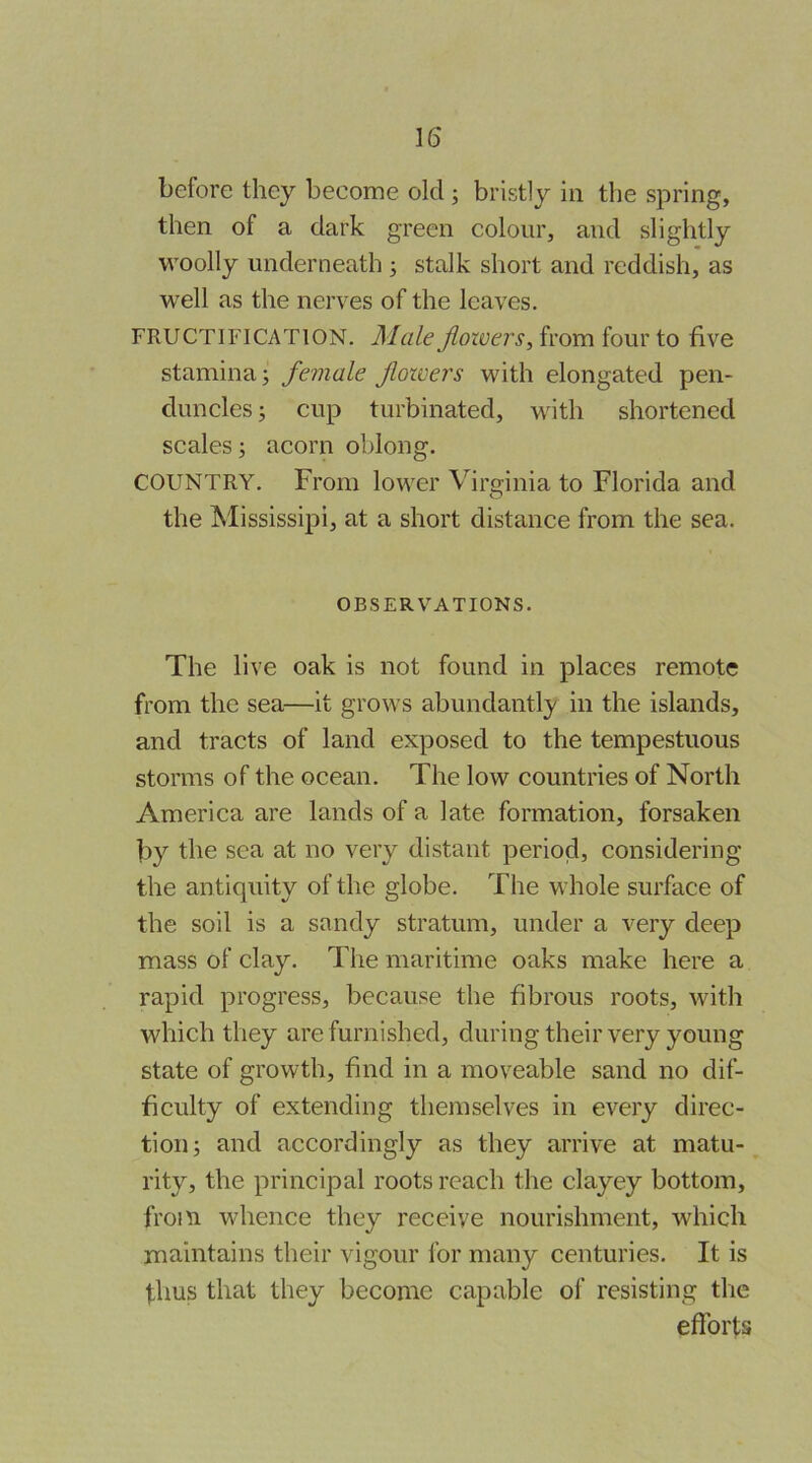 before they become old; bristly in the spring, then of a dark green colour, and slightly woolly underneath 3 stalk short and reddish, as well as the nerves of the leaves. FRUCTIFICATION. Male Jloivers, from four to five stamina; female fiowers with elongated pen- duncles; cup turbinated, with shortened scales; acorn oblong. COUNTRY. From lower Virginia to Florida and the Mississipi, at a short distance from the sea. OBSERVATIONS. The live oak is not found in places remote from the sea—it grows abundantly in the islands, and tracts of land exposed to the tempestuous storms of the ocean. The low countries of North America are lands of a late formation, forsaken by the sea at no very distant period, considering the antiquity of the globe. The whole surface of the soil is a sandy stratum, under a very deep mass of clay. The maritime oaks make here a rapid progress, because the fibrous roots, with which they are furnished, during their very young state of growth, find in a moveable sand no dif- ficulty of extending themselves in every direc- tion; and accordingly as they arrive at matu-^ rity, the principal roots reach the clayey bottom, from whence they receive nourishment, which maintains their vigour for many centuries. It is thus that they become capable of resisting the efforts