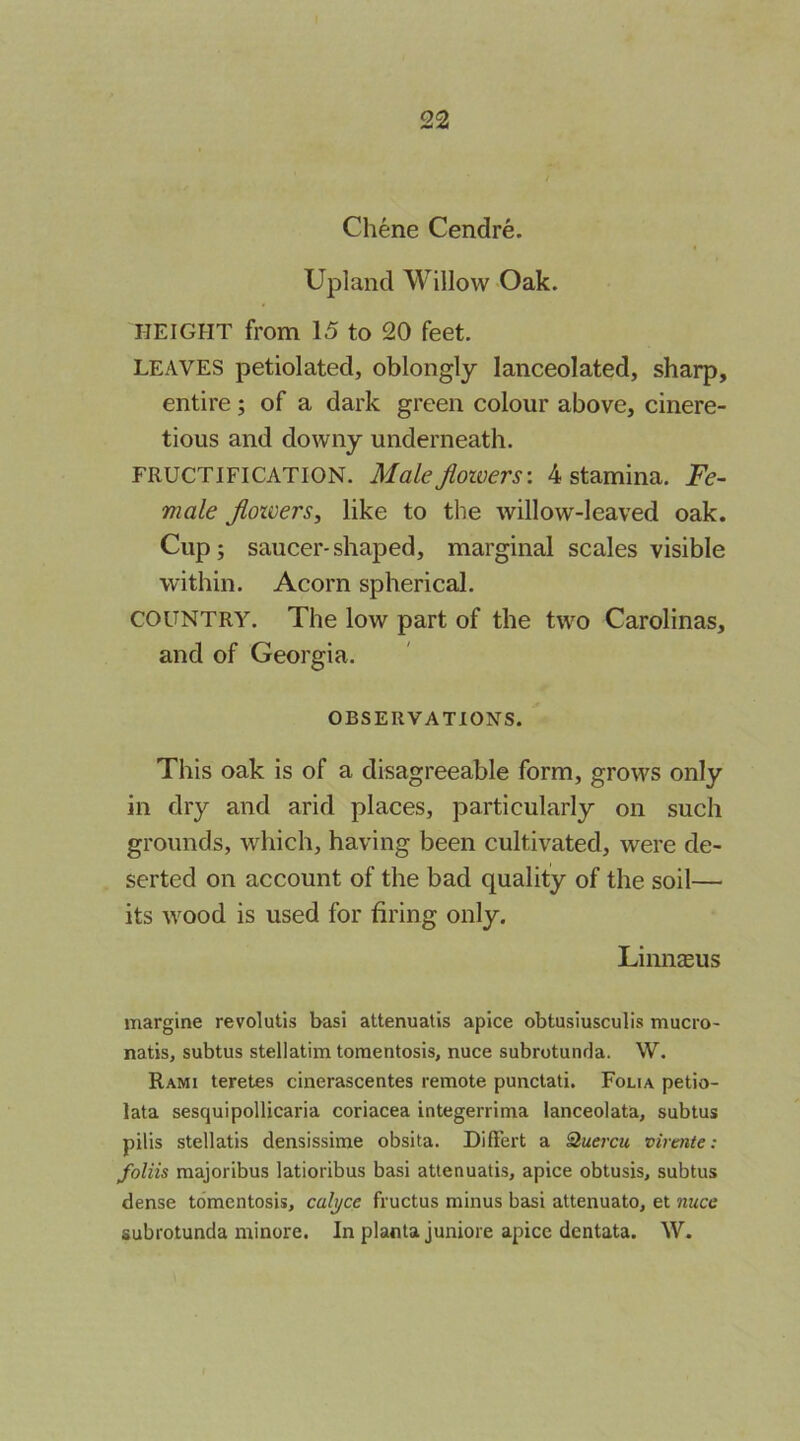 Chene Cendre. Upland Willow Oak. HEIGHT from 15 to 20 feet. LEAVES petiolated, oblongly lanceolated, sharp, entire; of a dark green colour above, cinere- tious and downy underneath. FRUCTIFICATION. Male Jloivers’. 4 stamina. Fe- male Jioxvers, like to the willow-leaved oak. Cup; saucer-shaped, marginal scales visible within. Acorn spherical. COUNTRY. The low part of the two Carolinas, and of Georgia. OBSERVATIONS. This oak is of a disagreeable form, grows only in dry and arid places, particularly on such grounds, which, having been cultivated, were de- serted on account of the bad quality of the soil— its wood is used for firing only. Linnseus margine revolutis basi attenuatis apice obtusiusculis mucio- natis, subtus stellatim toraentosis, nuce subrotunda. W. Rami teretes cinerascentes remote punctati. Folia petio- lata sesquipollicaria coriacea integerrima lanceolata, subtus pilis stellatis densissime obsita. DilFert a Huercu virente: foliis majoribus latioribus basi attenuatis, apice obtusis, subtus dense tdmentosis, cal^ce fructus minus basi attenuate, et nuce subrotunda minore. In planta juniore apice dcntata. W.