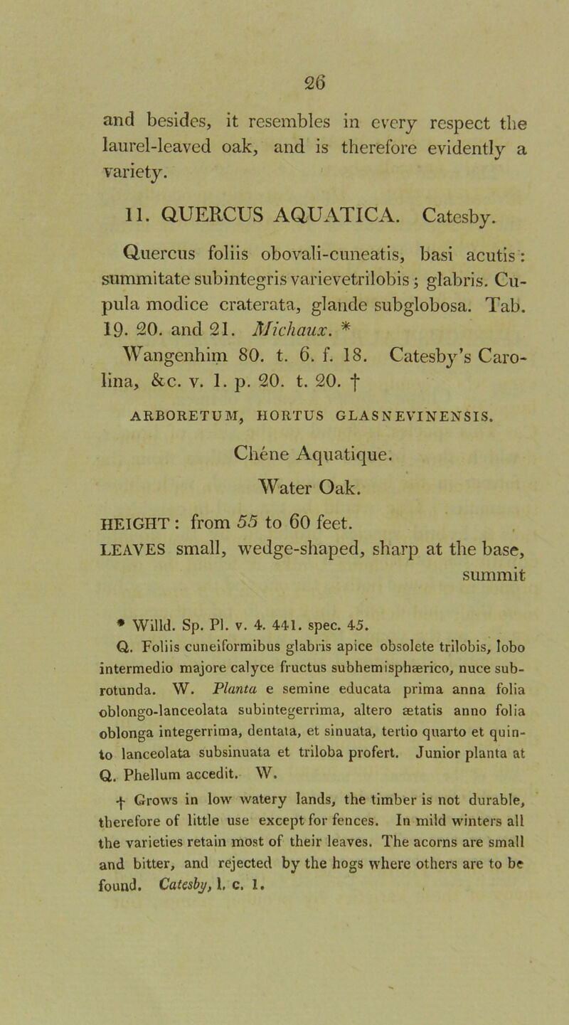 and besides, it resembles in every respect the laurel-leaved oak, and is therefore evidently a variety. 11. QUERCUS AaUATICA. Catcsby. Querciis foliis obovali-cimeatis, basi acutis: summitate subintegris varievetrilobis; glabris. Cu- pula modice craterata, glaiide subglobosa. Tab. 19. 20. and 21. Michaux. * Wangenhim 80. t. 6. f. 18. Catesby’s Caro- lina, &c. V. 1. p. 20. t. 20. •{* ARBORETUM, HORTUS GLASNEVINENSIS. Chene Aquatique. Water Oak. HEIGHT : from 55 to 60 feet. LEAVES small, wedge-shaped, sharp at the base, summit • Wind. Sp. PI. V. 4. 441. spec. 45. Q. Foliis cuneiformibus glabris apice obsolete trilobis, lobo intermedio majore calyce fructus subhemisphaerico, nuce sub- rotunda. W. Planta e semine educata prima anna folia oblongo-lanceolata subintegerrima, altero aetatis anno folia oblonga integerrima, dentata, et sinuata, tertio quarto et quin- to lanceolata subsinuata et triloba profert. Junior planta at Q. Phellum accedit. W. -}- Grows in low watery lands, the timber is not durable, therefore of little use except for fences. In mild winters all the varieties retain most of their leaves. The acorns are small and bitter, and rejected by the hogs where others are to be found. Catesbi/,\, c. 1.