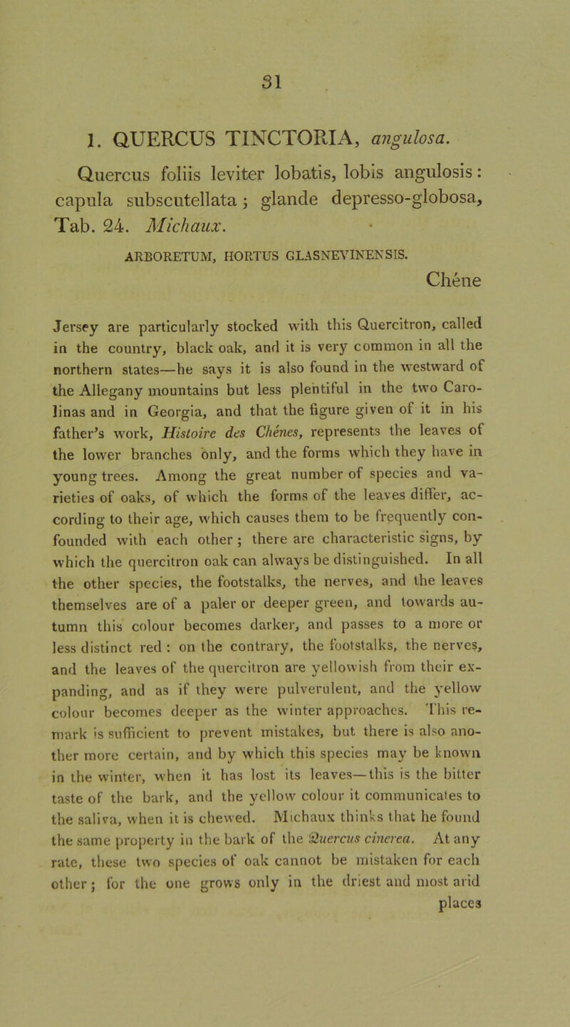 1. QUERCUS TINCTORIA, angulosa. Quercus foliis leviter lobatis, lobis angulosis: capula subscutellata; glande depresso-globosa. Tab. 24. Michaux. ARBORETUM, HORTUS GLASNEVINENSIS. Chene Jersey are particularly stocked with this Cluercitron, called ia the country, black oak, and it is very common in all the northern states—he says it is also found in the westward of the Allegany mountains but less plentiful in the two Caro- linas and in Georgia, and that the figure given of it in his father’s work, Histoire des Chines, represents the leaves of the lower branches only, and the forms which they have in young trees. Among the great number of species and va- rieties of oaks, of which the forms of the leaves differ, ac- cording to their age, w'hich causes them to be frequently con- founded with each other; there are characteristic signs, by which the quercitron oak can always be distinguished. In all the other species, the footstalks, the nerves, and the leaves themselves are of a paler or deeper green, and towards au- tumn this colour becomes darker, and passes to a more or less distinct red : on the contrary, the footstalks, the nerves, and the leaves of the quercitron are yellow ish from their ex- panding, and as if they were pulverulent, and the yellow colour becomes deeper as the w inter approaches. This re- mark is sufficient to prevent mistakes, but there is also ano- ther more certain, and by which this species may be knowm in the winter, w-hen it has lost its leaves—this is the bitter taste of the bark, and the yellow' colour it communicates to the saliva, when it is chewed. Michaux thinks that he found the same property in the bark of the Quercus cinerea. At any rate, these two species of oak cannot be mistaken for each other; for the one grows only in the driest and most arid places