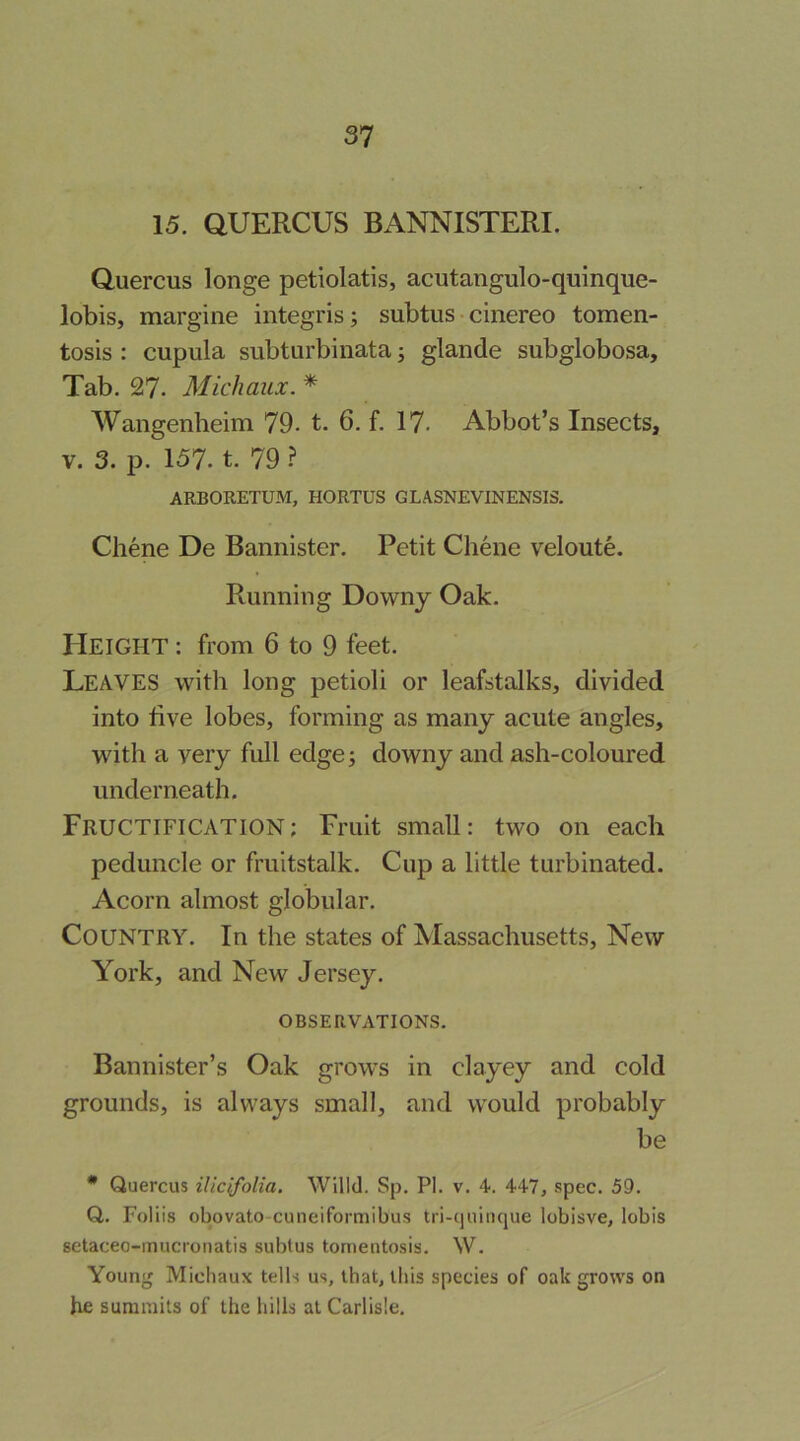 15. QUERCUS BANNISTERI. Quercus longe petiolatis, acutangulo-quinque- lobis, margine integris; subtus cinereo tomen- tosis : cupula subturbinata; glande subglobosa. Tab. 27. Michaux. * Wangenheim 79. t. 6. f. 17- Abbot’s Insects, V. 3. p. 157. t. 79 ? ARBORETUM, HORTUS GLASNEVINENSIS. Chene De Bannister. Petit Chene veloute. Running Downy Oak. Height : from 6 to 9 feet. Leaves with long petioli or leafstalks, divided into hve lobes, forming as many acute angles, with a very full edge; downy and ash-coloured underneath. Fructification; Fruit small: two on each peduncle or fruitstalk. Cup a little turbinated. Acorn almost globular. Country. In the states of Massachusetts, New York, and New Jersey. OBSERVATIONS. Bannister’s Oak grows in clayey and cold grounds, is always small, and would probably be • Quercus ilicifolia. Willd. Sp. PI. v. 4. 447, spec. 59. Q. Foliis obovato-cuneiformibus tri-cjuiiique lobisve, lobis setaceo-mucronatis subtus tomentosis. \V. Young Michaux tells us, that, this species of oak grows on he summits of the hills at Carlisle.