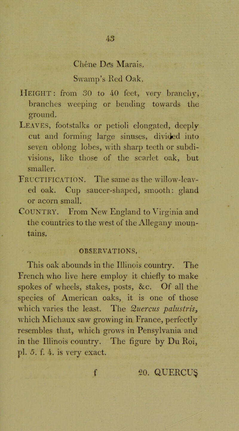 Cheiie D<?s Marais, Swamp’s Ked Oak, Height : from 30 to 40 feet, very brancliy, branches weeping or bending towards the ground. Leaves, footstalks or petioli elongated, deeply cut and forming large sinuses, divided into seven oblong lobes, with sharp teeth or subdi- visions, like those of the scarlet oak, but smaller. Fructification. The same as the willow-leav- ed oak. Cup saucer-shaped, smooth: gland or acorn small. Country. From New England to Virginia and the countries to the west of the Allegany moun- tains. OBSERVATIONS, This oak abounds in the Illinois country. The French who live here employ it chiefly to make spokes of wheels, stakes, posts. See. Of all the species of American oaks, it is one of those which varies the least. The Quercus palustris, which Michaux saw growing in France, perfectly resembles that, which grows in Pensylvania and in the Illinois country. The figure by Du Roi, pi. 5. f. 4. is very exact. f 20. QUERCU§