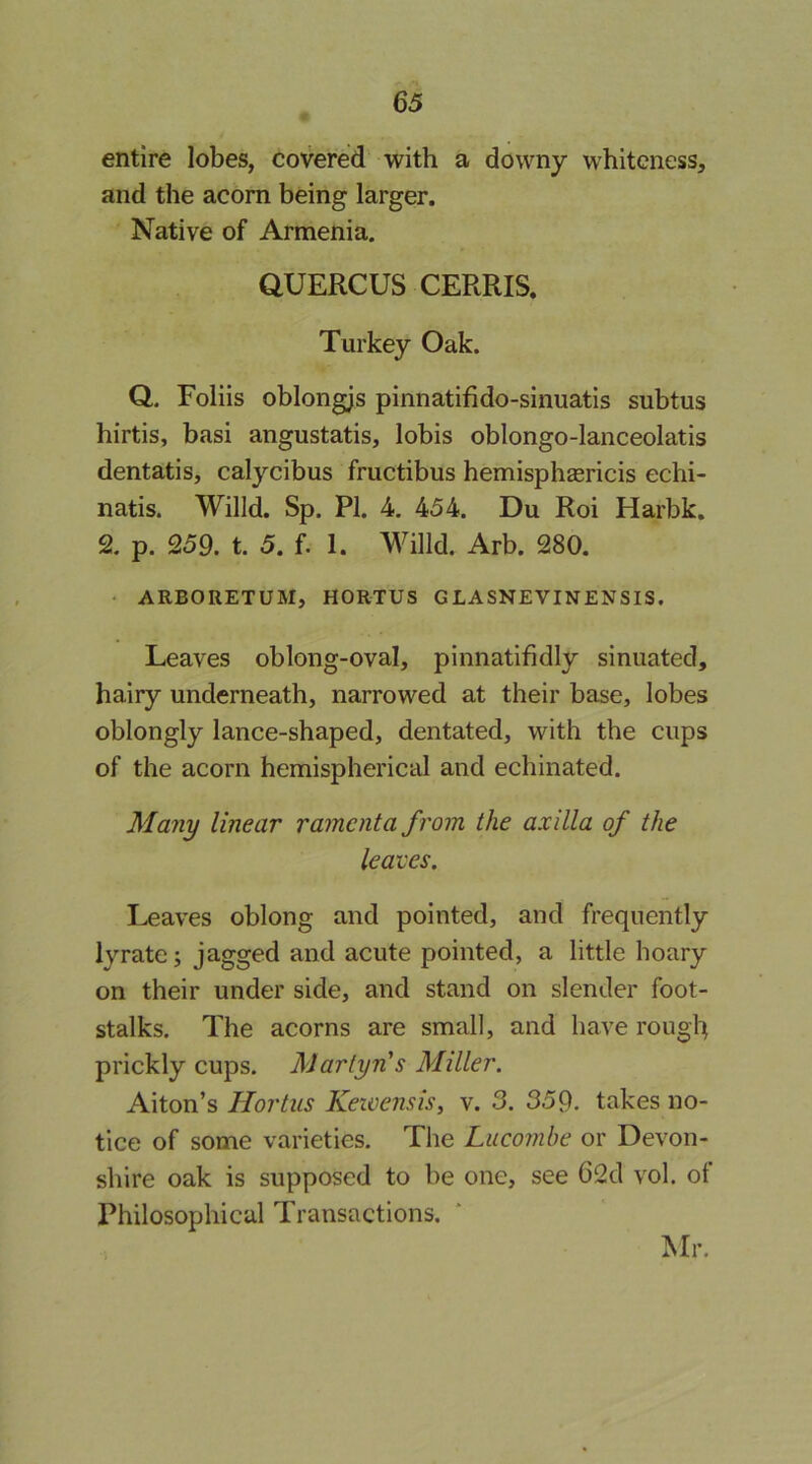 entire lobes, covered with a downy whiteness, and the acorn being larger. Native of Armenia. QUERCUS CERRIS. Turkey Oak. Q. Foliis oblongjs pinnatifido-sinuatis subtus hirtis, basi angustatis, lobis oblongo-lanceolatis dentatis, calycibus fructibus hemisphaericis echi- natis. Willd. Sp. PI. 4. 454. Du Roi Harbk. 2. p. 259. t. 5. f. 1. Willd. Arb. 280. • ARBORETUM, HORTUS GLASNEVINENSIS. Leaves oblong-oval, pinnatifidly sinuated, hairy underneath, narrowed at their base, lobes oblongly lance-shaped, dentated, with the cups of the acorn hemispherical and echinated. Many linear vamenta from the axilla of the leaves. Leaves oblong and pointed, and frequently lyrate; jagged and acute pointed, a little hoary on their under side, and stand on slender foot- stalks. The acorns are small, and have rough prickly cups. Martyn's Miller. Alton’s Hortus Keioensis, v. 3. 359. takes no- tice of some varieties. The Lucombe or Devon- shire oak is supposed to be one, see 62d vol. ot Philosophical Transactions. Mr.
