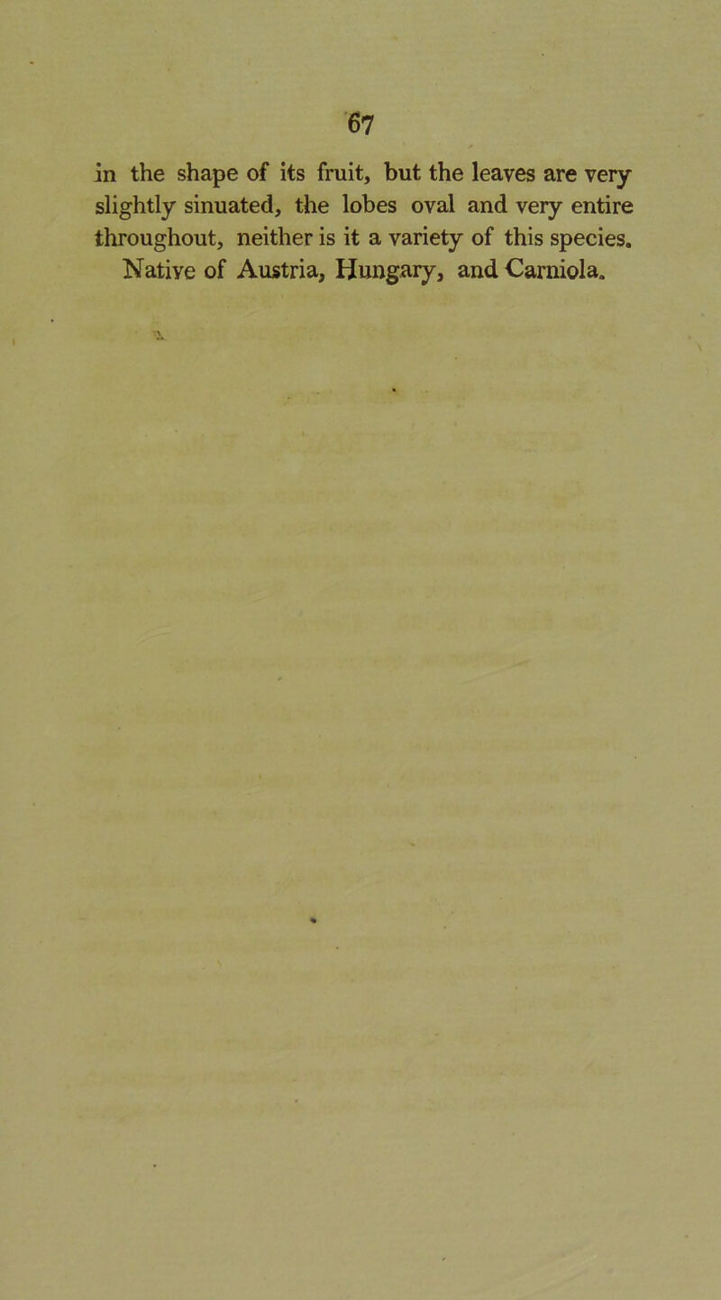 in the shape of its fruit, but the leaves are very slightly sinuated, the lobes oval and very entire throughout, neither is it a variety of this species. Native of Austria, Hungary, and Carniola.