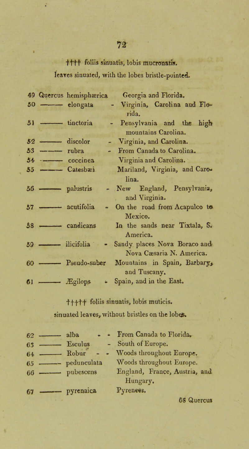 ■fttt foUis sinuatis, lobis mucronatw. leares sinuated, with the lobes bristle-pointed. 49 Quercus hemisphserica Georgia and Florida. 50 elongata ■ Virginia, Carolina aud Flo- rid a. 51 tinctoria Pensylvania and the high mountains Carolina. 52 discolor Virginia, and Carolina. 53 rubra From Canada to Carolina. 54 coccinea Virginia and Carolina. 55 ——— Catesbsei Mariland, Virginia, and Caro-* lina. 56 ■ -■ -■■■ palustris New England, Pensylvania, and Virginia. 57 acutifolia On the road from Acapulco to Mexico. 58 —■ —- candicans In the sands near Tixtala, S. America. 59 ilicifolia Sandy places Nova Boraco aud Nova Caesaria N. America. 60 Pseudo-suber Mountains in Spain, Barbary* and Tuscany. 61 iEgilops Spain, and in the East. tt+t+ foliis sinuatis, lobis muticis. sinuated leaves, without bristles on the lobeJf. 62 alba - - From Canada to Florida, 63 Esculus South of Europe. 64 Robur - - Woods throughout Europe. 65 pedunculata Woods throughout Europe. 66 —■ pubescens England, France, Austria, and Hungary, 67 — .— pyrenaica Pyrenees,