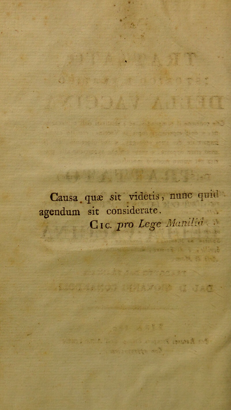 k -T.: Causa. quæ sit videtis, nutic quid agendum sit considerate. Cic. pro Lege ■ Man i ldi . r