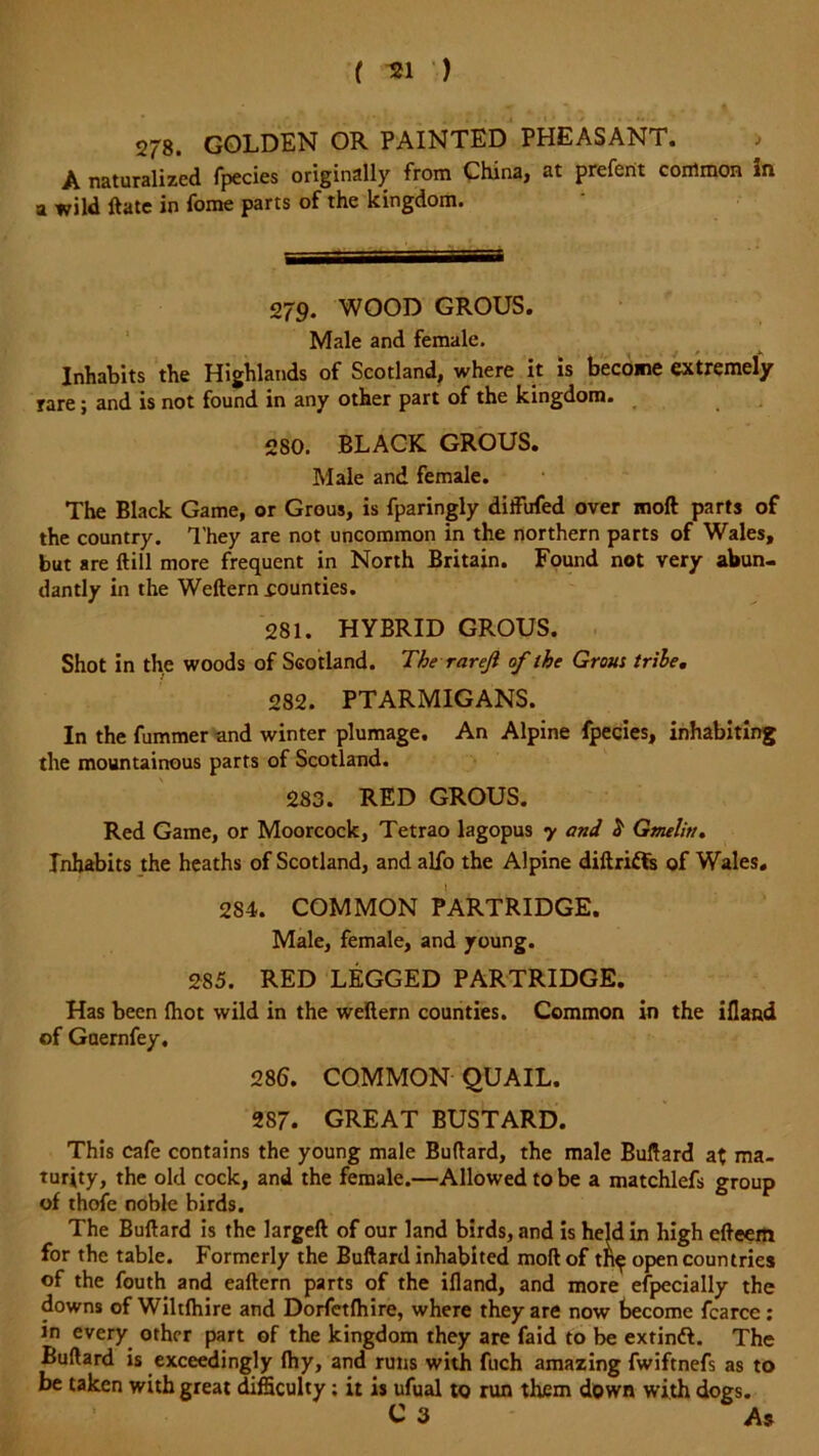 ( *1 ■) 5278. GOLDEN OR PAINTED PHEASANT. A naturalized fpecies originally from China, at preferit common m a wild ftate in fome parts of the kingdom. 279. WOOD GROUS. Male and female. Inhabits the Highlands of Scotland, where it is become extremely rare; and is not found in any other part of the kingdom. 280. BLACK GROUS. Male and female. The Black Game, or Grous, is fparingly diifiifed over mod parts of the country. They are not uncommon in the northern parts of Wales, but are ftill more frequent in North Britain. Found not very abun- dantly in the Weftern .counties. 281. HYBRID GROUS. Shot in the woods of Scotland. The rareft of the Grous tribe. 282. PTARMIGANS. In the fummer and winter plumage. An Alpine fpecies, inhabiting the mountainous parts of Scotland. 283. RED GROUS. Red Game, or Moorcock, Tetrao lagopus y and & Gmelitt. Inhabits the heaths of Scotland, and alfo the Alpine diftridls of Wales. 284. COMMON PARTRIDGE. Male, female, and young. 285. RED LEGGED PARTRIDGE. Has been (hot wild in the weftern counties. Common in the ifland of Guernfey, 286. COMMON QUAIL. 287. GREAT BUSTARD. This cafe contains the young male Buftard, the male Buftard at ma- turity, the old cock, and the female.—Allowed to be a matchlefs group of thofe noble birds. The Buftard is the largeft of our land birds, and is held in high efteem for the table. Formerly the Buftard inhabited moft of tn^ open countries of the fouth and eaftern parts of the ifland, and more especially the downs of Wiltfhire and Dorfetfhire, where they are now become fcarce : in every other part of the kingdom they are faid to be extindL The Buftard is exceedingly lhy, and runs with fuch amazing fwiftnefs as to be taken with great difficulty; it is ufual to run them down with dogs. C 3 As