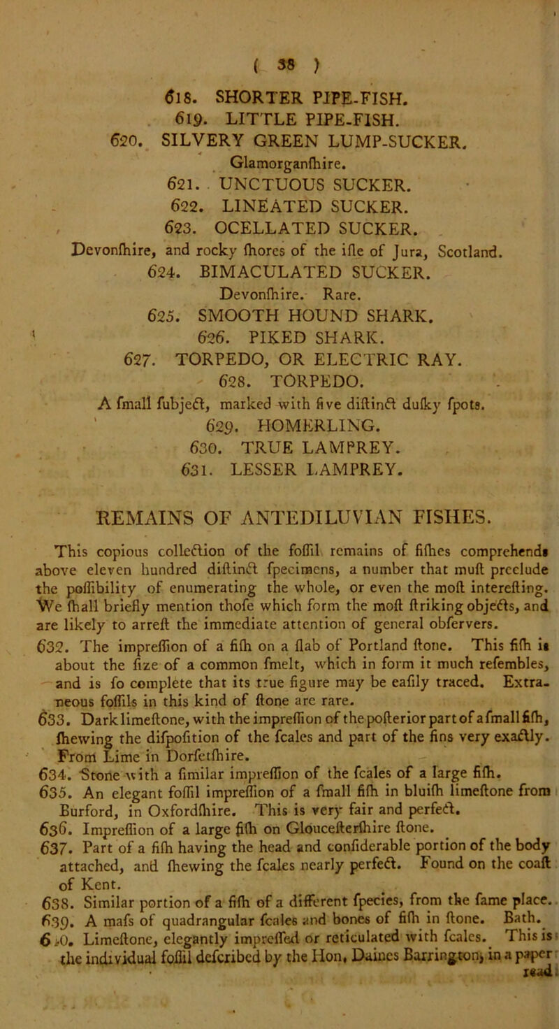 $18. SHORTER PIPE-FISH. 619. LITTLE PIPE-FISH. 620. SILVERY GREEN LUMP-SUCKER. Glamorganfhire. 621. UNCTUOUS SUCKER. 622. LINEATED SUCKER. 623. OCELLATED SUCKER. Devonfhire, and rocky fhores of the ifle of Jura, Scotland. 624. BIMACULATED SUCKER. Devonfhire. Rare. 625. SMOOTH HOUND SHARK. 1 626. PIKED SHARK. 627. TORPEDO, OR ELECTRIC RAY. 628. TORPEDO. A fmall fubjeft, marked with five didinft dulky fpots. 629. HOMERLING. 630. TRUE LAMPREY. 631. LESSER LAMPREY. REMAINS OF ANTEDILUVIAN FISHES. This copious collection of the foflil remains of fifhes comprehend* above eleven hundred didinft fpecimens, a number that mud preclude the poffibility of enumerating the whole, or even the mod intereding. We (hall briefly mention thofe which form the mod driking objects, and are likely to arred the immediate attention of general obfervers. 632. The impreflion of a fifh on a flab of Portland done. This fifh i* about the fize of a common fmelt, which in form it much refembles, and is fo complete that its true figure may be eafily traced. Extra- neous foflils in this kind of done are rare. 633. Dark limedone, with the impreflion of thepoderior part of afmallfifh, (hewing the difpofition of the feales and part of the fins very exaftly. From Lime in Dorfetfhire. 634. Btone with a fimiiar impreflion of the feales of a large fifh. 635. An elegant foflil impreflion of a fmall fifh in bluifh limedone from Burford, in Oxfordfhire. This is very fair and perfect. 636. Impreflion of a large fifh on Gloucederlhire done. 637. Part of a fifh having the head and confiderable portion of the body attached, and fhewing the feales nearly perfect. I ound on the coaft of Kent. 638. Similar portion of a fifh of a different fpecies, from the fame place. 639. A mafs of quadrangular feales and bones of fifh in done. Bath. 6>0. Limedone, elegantly imprefled or reticulated with feales.. This is the individual foflil deferibed by the Hon, Daincs Barrington* in a paper read.