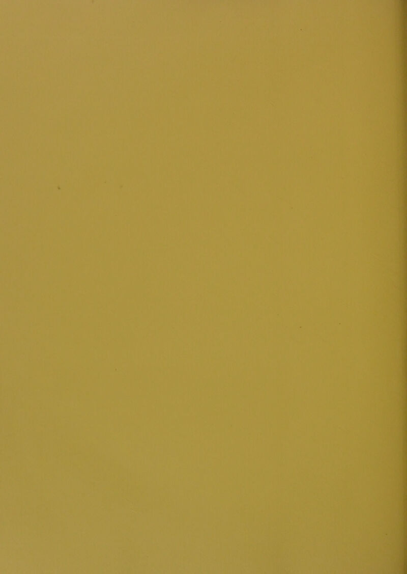 r /• .. /f'P, '.. '.ê «3^ M ,*• -J . .. ' f • . f ■'*1 ‘ ■0'■ ■ ■, •- ' ‘ ,-■• 'v^ï ■•• •■.■:'. 'r-:-T;>-^î'-,f i-v - Wî' .. ’ . '■ ■■* ■r r”’. f;' '- sk»^ /w‘. ■':'■- Vv^ . ■’- ;: -  '■. :’ ; ' •Si