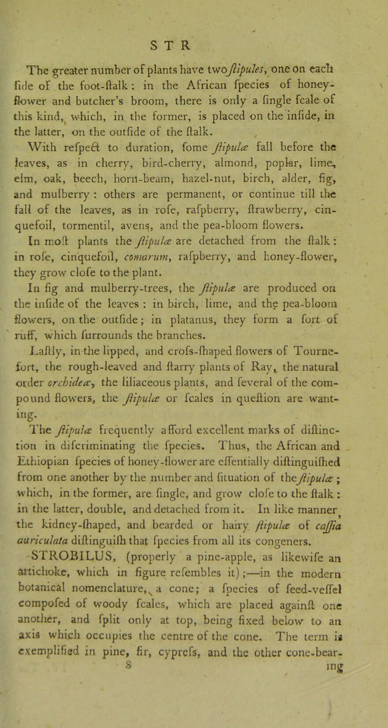 The greater number of plants have twoJllpuJes, one on eacli fide of the foot-ftalk: in the African fpecies of honey- flower and butcher’s broom, there is only a fingle fcale of this kind, which, in the former, is placed on the infide, in the latter, on the outfide of the flalk. With refpeft to duration, fome fHpula: fall before the leaves, as in cherry, bird-cherry, almond, popkr, lime, elm, oak, beech, horn-beam, hazel-nut, birch, alder, Eg, and mulberry': others are permanent, or continue till the fall of the leaves, as in rofe, rafpberry, flrawberry, cin- quefoil, tormentil, avens, and the pea-bloom flowers. In mod plants the Jlipula are detached from the flalk: in rofe, cinquefoil, comarum, rafpberry, and honey-flower, they grow clofe to the plant. In fig and mulberry-trees, the JlipuJa are produced on the infide of the leaves : in birch, lime, and the pea-bloom flowers, on the outfide; in platanus, they form a fort of ruff, which furrounds the branches. Lafllyr, in the lipped, and crofs-fhaped flowers of Tourne- fort, the rough-leaved and ftarry plants of Ray* the natural order orchidea:, the liliaceous plants, and feveral of the com- pound flowers, the Jiipula or fcales in queftion are want- ing. The JlipuLx frequently afford excellent marks of diftinc- tion in difcriminating the fpecies. Thus, the African and Ethiopian fpecies of honey-flower are effentially diftinguifhed from one another by' the number and fituation of theJiipula ; which, in the former, are fingle, and grow clofe to the flalk : in the latter, double, and detached from it. In like manner^ the kidney-fhaped, and bearded or hairy flipula of cajjia auriculata diftinguifh that fpecies from all its congeners. STROBILUS, (properly a pine-apple, as likewife an artichoke, which in figure refembles it);—in the modern botanical nomenclature^ a cone; a fpecies of feed-veflcl compofed of woody fcales, which are placed againft one another, and fplit only at top, being fixed below to an axis which occupies the centre of the cone. The term is exemplified in pine, fir, cyprefs, and the other cone-bear- S ing