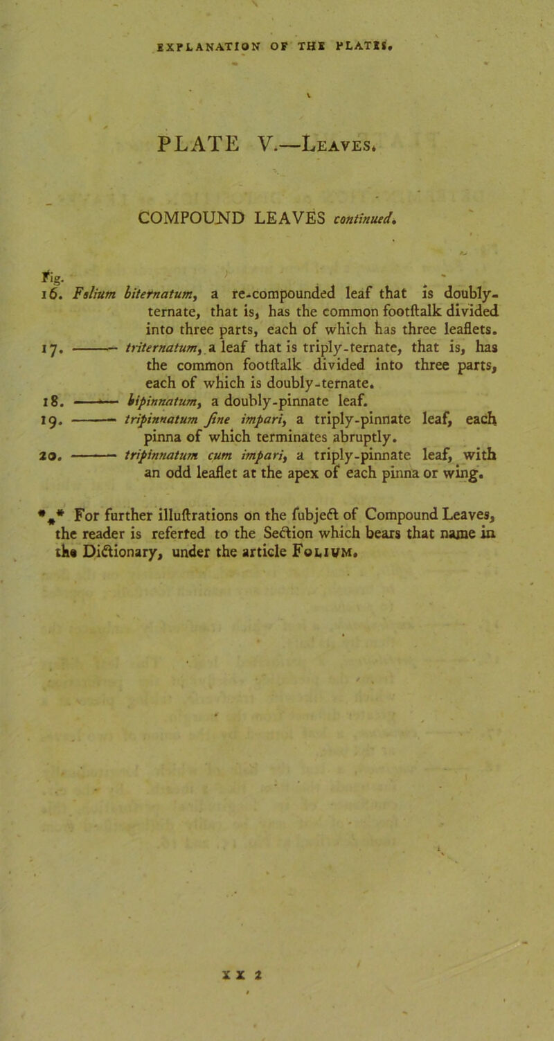 \ EXPLANATION OF THE PLATES, v PLATE V.—Leaves* COMPOUND LEAVES continued. fig. ' 16. Folium bitematum, a re-compounded leaf that is doubly- ternate, that is, has the common footftalk divided into three parts, each of which has three leaflets. 17. triternatum, a leaf that is triply-ternate, that is, has the common footftalk divided into three parts, each of which is doubly-ternate. 18. - bipinnatum, a doubly-pinnate leaf. 19. tripinnatum fine impart, a triply-pinnate leaf, each pinna of which terminates abruptly. 20. tripinnatum cum impari, a triply-pinnate leaf, with an odd leaflet at the apex of each pinna or wing. *#* For further illuftrations on the fubjeft of Compound Leaves, the reader is referted to the Seftion which bears that name in the Di&ionary, under the article Fol,ivm.