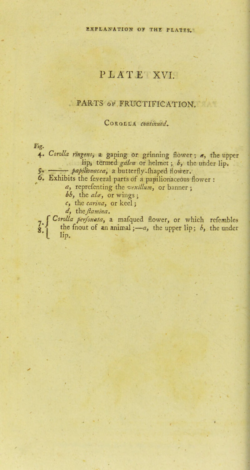PLATE XVI. t PARTS of FRUCTIFICATION. Corolla continued. Fig. 4- 5- 6. *• 7- 8, Corolla ringens, a gaping or grinning flower; a, the upper lip, termed galea or helmet; b, the under lip. papilionacea, a butterfly-lhaped flower. Exhibits the feveral parts of a papilionaceous flower : a, reprefenting the cvexillum, or banner ; bb, the ala, or wings ; c, the carina, or keel; d, theJlamina. f Corolla perfoneta, a mafqued flower, or which refembles the fnout of an animal;—a, the upper lip; b, the under . %