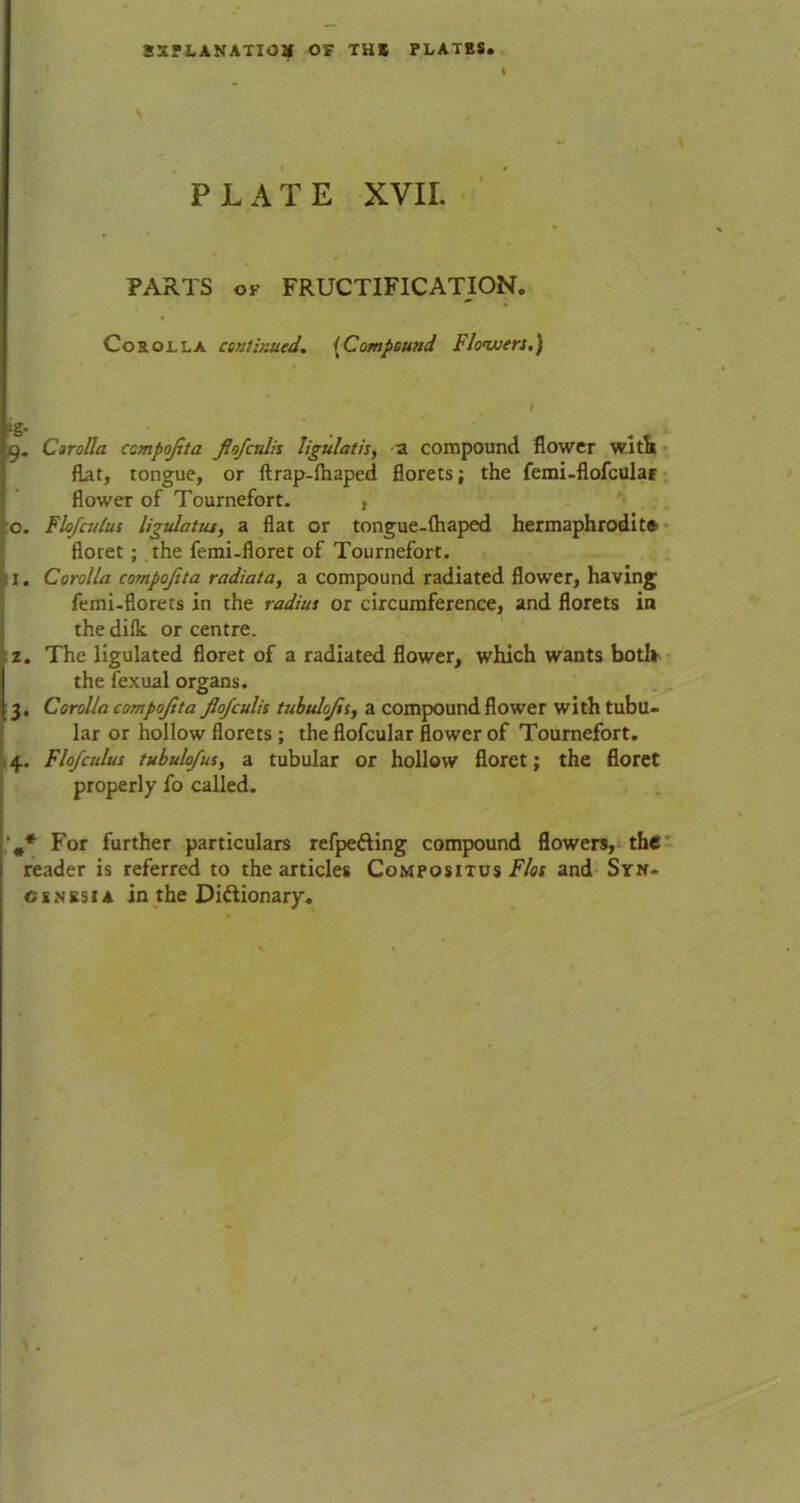 SXPXANATIOS OF THE PLATBS. PLATE XVII. PARTS ok FRUCTIFICATION. Corolla continued. (Compound Flowers.) 9. Corolla compojita jlofcidh ligulatis, a compound flower with flat, tongue, or ftrap-lhaped florets; the femi-flofcular flower of Tournefort. , o. Flofculus ligulatus, a fiat or tongue-fhaped hermaphrodite floret; the femi-floret of Tournefort. 11. Corolla compojita radiata, a compound radiated flower, having femi-florets in the radius or circumference, and florets in the difk or centre. 2. The ligulated floret of a radiated flower, which wants both the fexual organs. 3. Corolla compojita Jlofculis tubulojis, a compound flower with tubu- lar or hollow florets; the flofcular flower of Tournefort. 4. Flojculus txbulojus, a tubular or hollow floret; the floret properly fo called. For further particulars refpe&ing compound flowers, the reader is referred to the articles Compositus Flos and Svn- cenbsia in the Dictionary.