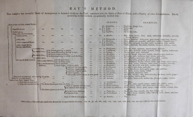 R AY’S ME T H 0 D This complex but beautiful Mode of Arrangement is .founded chiefly on the Fruit, combined with the Habit or Port of, Plants, and'a-. Variety; of other Circinnftance^. Pianfi according, to tins-Method, are primarily divided into-. Such as bear no Euds, termed Herbs; Imperfeff plants^ t Perfect plants,. 'rifing with two feed-leaves, f without petals, — \ with petals, with a compound flower. with a Ample flower,, having raked feeds. in number one, — — ,. , f the flowers growing in umbels, (in number two, - e - 1 the leaves furrounding the ftera in rays. i. , r f the leaves rough and hairy, — m num er our^- the flowers growing in whirls round the ftem, in number many, ^having the feeds covered, fwith. a pulpy fubl(ancej j of the appfe kind,^ - - with a membranaceous f that is manifold, — — fubftance, \ that is Angle,y-with one petal, — with two and three petals, c. r hrifing with one feed-leaf, and wanting the petals,. — Kerbs of uncertain family, — — — f*ch as bear Bud, termed Trees ; j rifing with one feed-leaf, riAngwith two feed-leaves, with four regular petals, — with four irregular petals, — with fi ve petals, — — -with graffy leaves and one or more petals CLASSES.. T Submarine, - 2 Fungi, 3 MuJ'ciy. — - - - 4. Capillares,. $ Abetalae, - - - 6 • Planipetalae, - - -- 7 Difcoideae,. - 8 Corymbiferae, - 9 Capitatae,. - I o Monofpermae, - II Umbelliferae, — 12 Stellatae, - - - - 1 3 Afperifoliae, - 14 Verticillatae, - 15 Polyfpermae, 16 Pomiferae, - 17 Bacciferae, - 18 Multifiliquae, - 19 Monopetalae, „ 20 Di-Pripetalae, 21 Siliquofae, - 22 Legu?ninoJae, - - - 23 Pentapptalae, _ 24 Floriferae, - 2 £ Stamineae, . 26 Anomalae, - EXAMPLES.. Corallines, fpunge,, fuci*. Mufhrooms. Mofles. All the fern tribe.. flHpi Hop, hemp, nettle, dock, orach, amaranthu}, alchemiila, plantain*,, knavvel, mercury. Lettuce, dandelion, hawk-weed, goat’s-beard, After, golden-rod, groundfel, colt’s-foot, cudwee Sun-flower, marigold, fever-few, daify, wormwood, tanfy, milfoil. Thiftle, artichoke, blue-bottle, burdock, faw-wort, fcabious, teazel. nipple-wort, fuccory, ed, leopard’s-bane. The flower placed apart from the fruit, — /*which is crowned with the calyx, \not crowned with the cafyx, —• c The. flower joined to the fruit. iof a dry fkinny fubftance, V.of the pod kind, — Trees of difficult arrangement. — 27 Arundinaceae, - — 2 8 Apetalae, - — 29 Prudiu umbilicato, —1 30 Frudlu non umbilicato, — 3 I Frudlu Jicco, - •— 32 Frudlu Jihquofo, ■— 3 3 Anomalae, - Valerian, thrift,. agrimony, marvel of peru, fumatory. Lafer-wort, fnepherd’s-needle, hemlock, fanicle, angelica, mafter-wort,' Madder, goofe grafs, wood-roof. Comfrey, borage, lung-wort, bugdofs, hound’s-tongue, moufe-ear. Rofemary, mint, marjoram, fage, betony, germander. Water-plantain, ranunculus, herb-bennet, adonis, anemone. Cucumber, melon, pumpkin, gourd, paflion-flovfer. Herb-chriftopher, butcher’s-broom, deadly- nigtit-lhade, winter-cherry. Houfe-leek, parony, hellebore, monk’s-hood, Columbine, fraxinella. Hen-bane, fpeedwell, loofe-ftrife, mullein, mallow, fox..glove. Enchanter’s night-fhade, marflr-aloe.. Stock, , fatin-flower, feurvy-grafs, poppy, rue,. epilobium. Pea, vetch, lentils, broom, trefoil. Pink, .lychnis, chickweed, violet. Hyacinth,. narciflus, tulip, flower-of-a-day, fow-bread, orchis, ginger,- RuCh, acorus, and the grafles. Water-lily, barren-wort, meadow-rue, pine-apple, pepper, vanelloe. The palms.. Fir, pine, cedar, cyprefs, juniper,-walnut, oak, chefnut, poplar. Apple, quince, medlar, rofe, honey-fuckle, hlwthorn, elder. -plum, almond, cherry, peach, orange, lemoii, calabaflr, arbutus, olive, acajou. Maple,. a(h, lime, tamarifk, elm, lilac, fumach, tea. St. John’s bread, oleander, caflia, tamarind, acacia, broom, laburnum, bladder-fenna. Fig... CLftrvation.—This method.;is much to be cfleemed for its approximation to nature, The 1 ft, 3d, 4th, 6th, nth, 12th, 13th, 14th, 16th, 21ft, 22d, and 25th clafles are true naturul families.