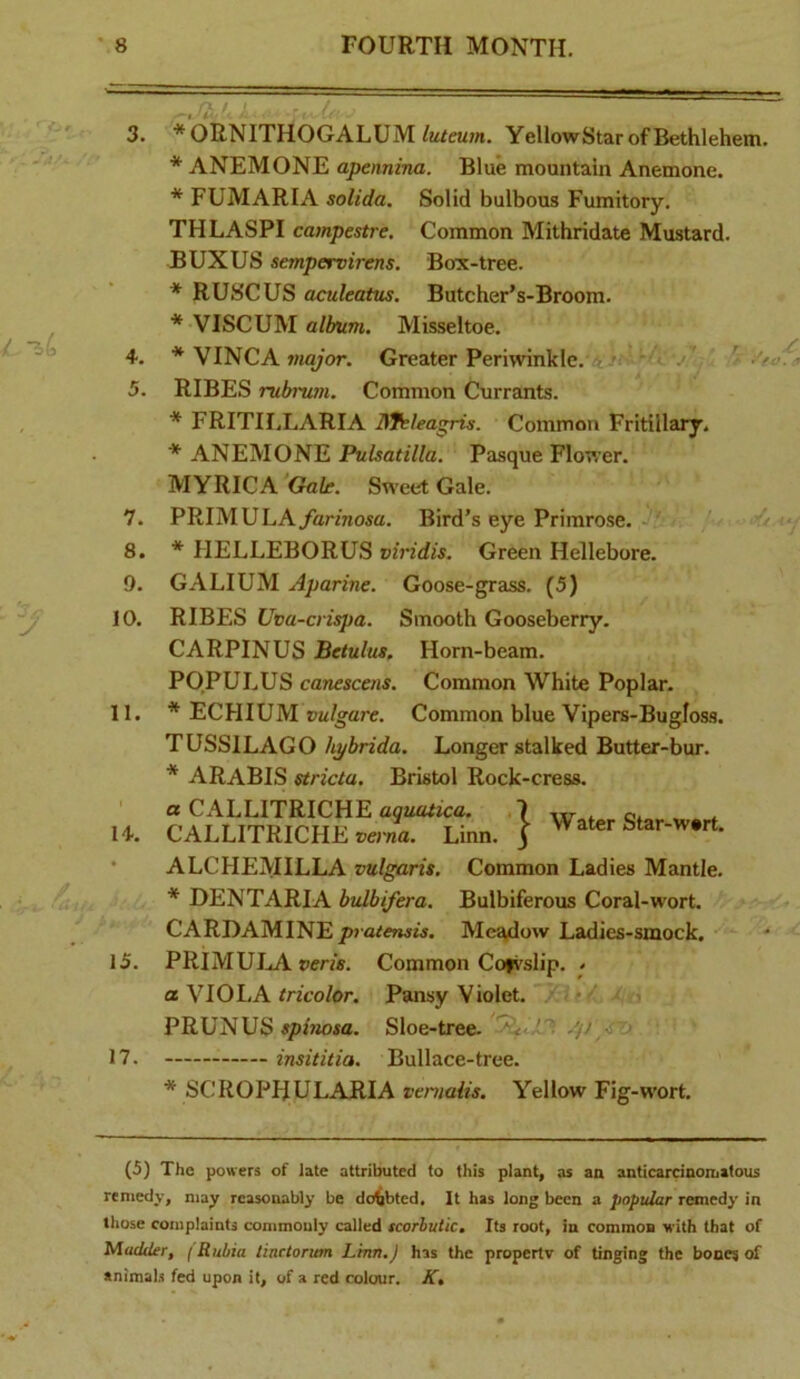 4. 5. 7. 8. 9. 10. 11 1-t. 15. *ORNITHOGALUM luteum. Yellow Star of Bethlehem * ANEMONE apennina. Blue mountain Anemone. * FUMARIA solida. Solid bulbous Fumitory. THLASPI campestre. Common Mithridate Mustard. BUXUS sempervirens. Box-tree. * RUSCUS aculeatus, Butcher’s-Broom. * VISCUM album. Misseltoe. ’ ■ * VINCA major. Greater Periwinkle. ■ v/' RIBES rubrum. Common Currants. * FRITILLARIA ISfelea^s. Common Fritillary. * ANEMONE Pulsatilla. Pasque Flower. MYRICA Gal£. Sweet Gale. PRIMULAybr/nosa. Bird’s eye Primrose. * HELLEBORUS viridis. Green Hellebore. GALIUM Aparine. Goose-grass. (5) RIBES Uva-crispa. Smooth Gooseberry. CARPINUS Betulus, Horn-beam. POPULUS canescens. Common White Poplar. * ECHIUM vulgare. Common blue Vipers-Bugloss, TUSSILAGO hybrida. Longer stalked Butter-bur. * ARABIS stricta. Bristol Rock-cress. a CAhlATKiCUP, aquatica. 7 w ^ CALLITKICHE verna, Lmn, j ALCHEMILLA vulgaris. Common Ladies Mantle, * DENTARIA bulbi/era. Bulbiferous Coral-wort. CARDAMINEMcjvdow Ladies-smock, PRlMUIuA veris. Common Cofvslip. ^ a VIOLA/n't'o/or. Pansy Violet. PRUNUS sphiosa. Sloe-tree. 1 .■p so . ' 17. insititia. Bullace-tree. * SCROPHULARIA vemaiis. Yellow Fig-wort. (5) The powers of late attributed to this plant, as an anticarcinoniitous remedy, may reasonably be dc^bted. It has long been a popular remedy in those complaints commonly called tcorhutk. Its root, in common with that of Muckier, (Rubia tinrtorum Lenn.J has the property of tinging the bone; of tnimal.s fed upon it, of a red colour. K,