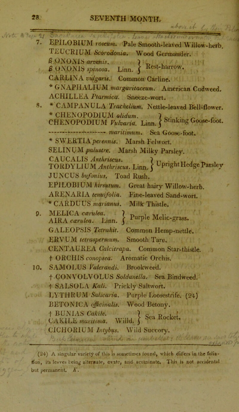 •L] S'.'> 7. 8. 9. 10. EPILOBIUM roseum. Pale Smooth-leaved Willow-herb. TEUCRIUM Scorodonia, Wood Germander. 6,ONON IS arpenw. 7 t. ». * ' ^.UxN’ONlS spinosa. Linn. } Rest-harrow. CARLIN A pz^/gam. Common Carline. * GNAPHALIUM viargaritaceum. American Cudweed. ACHILLEA Ptarrnica. Sneeze-wort. i * CAMPANULA Trachelium. Nettle-leaved Bell-flower. * CHENOPODIUM olidum. 7 c- . • ^ CHENOPODIUM Vulvaria. Li„n. } ^oose-foot. maritimum. Sea Goose-foot, * SWERTIA/zeze/znw. Marsh Felwort. SELIN UM/;a/zz«<re. Marsh Milky Parsle)'. CAUCALIS Anthriscus. 7 tt • l t v TORDYLiUM JnMmcw. Linn, j ^Jpnght Hedge Parsley JUNCUS bi{f(miu3. Toad Rush. EPILOBIUM AzVswmw. Great hairy Willow-herb. ARENARIA tenuifolia. Fine-leaved Sand-wort. * CARDUUS maviamis. Milk Thistle. MELICA ccErulea. 7 i i* AIRA ca:rulea. Linn, j Mehc-grass. GALEOPSIS Tetrahit. Common Hemp-nettle. ERVUM tetraspermum. Smooth Tare. CENTAL'REA Calcitrapa, Common Star-thistle, t ORCHIS conopsea. Aromatic Orchis. SAMOLUS Vakrandi. Brookweed. t CONVOLVOLUS Soldanella, Sea Bindweed. ' f SALSOLA Kali. Prickly Saltwort. I.YTHHUM Stt/zcarm. Purple Loosestrife. (24) BETONICA officinalis. Wood Betony. -I BUNIAS Cakile. | c „ p i. ; CAKILE marittma. Willd. j ^ ^ ’ CICHORIUM Intybus. Wild Succory. (24) A singular variety of this is someliincs louml, which differs in the folia- fion, its leaves l eing altematf, ovate, and aculninatc, Tliis is not accidental but permanent. A'.