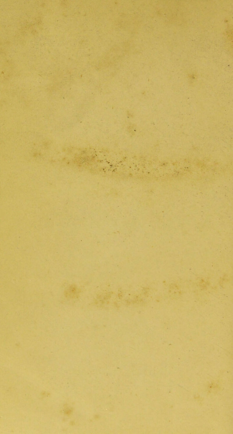 ■ K V . «>■ 4' «« ^ - ''V - X- *tr ■> \i» •'^ ■■ > :.j«f v;t f, •’t^ V . ■ 'vn ' ■?. V,- > -*r *