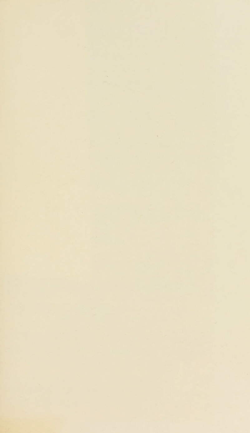 gg.- ■ft*- * k V* t 4 » **.v