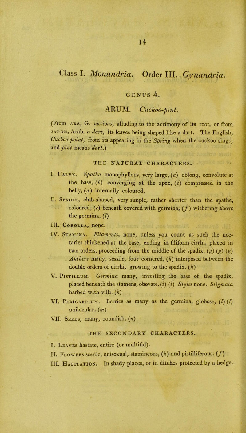 Class I. Monandria. Order III. Gynandria. genus 4. ARUM. Cuckoo-pint. (From ara, G. noxious, alluding to the acrimony of its root, or from jaron, Arab, a dart, its leaves being shaped like a dart. The English, Cuckoo-point, from its appearing in the Spring when the cuckoo sings j and pint means dart.) THE NATURAL CHARACTERS. I. Calvx. Spatha monophyllous, very large, (a) oblong, convolute at the base, (Z>) converging at the apex, (c) compressed in the belly, (d) internally coloured. II. Spadix, club-shaped, very simple, rather shorter than the spathe, coloured, (e) beneath covered with germina, (f) withering above the germina. (Z) III. Corolla, none. IV. Stamina. Filaments, none, unless you count as such the nec- taries thickened at the base, ending in filiform cirrhi, placed in two orders, proceeding from the middle of the spadix. (g) (g) (g) Anthers many, sessile, four cornered, (A) interposed between the double orders of cirrhi, growing to the spadix. (h) V. Pistillum. Germina many, investing the base of the spadix, placed beneath the stamens, obovate.(i) (i) Styles none. Stigmata barbed with villi. (k) VI. Pericarpium. Berries as many as the germina, globose, (Z) (Z) unilocular, (m) VII. Seeds, many, roundish. (?i) THE SECONDARY CHARACTERS. I. Leaves hastate, entire (or multifid). II. Flowers sessile, unisexual, stamineous, (h) and pistilliferous. (/) III. Habitation. In shady places, or in ditches protected by a hedge.