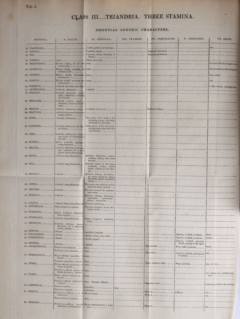 C^ASS III....TRIANDRIA. THREE STAMINA. ESSENTIAL GENERIC CHARACTERS. GENERA. I. CALYX. II. COROLLA. III. STAMEN. IV. PISTILLUM. V. PERICARP. VI. SEED. . one Stigmata convolute nnrw Glumes chaft'y, on all sit 32. CYPERUS Glumes chaffy, two-rowec 33. SCIRPUS Glumes chaffy, on every sia 34. PANICUM 3-valved, the third valve leas 2-valved, l-flowered • 35. ALOPECURUS l-valved 36. PHLEUM 2-valved, truncated, acum nate, l-flovvered, inclosii S 37. PHALARIS flowered, inclosing the Go 33. MILIUM 2-valved, very short Stigmata villous 39. DACTYLIS l-valved, com pressed, one va l 40. STIPA The outer valve with a ter 41. LAGURUS minuting arista, very long articulated at the base Outer glume with two termi nating arista, the third dor 42. AIRA 2-walvcd, 2-flo\vercd, withau any maik of uninterpote 43. ELYMUS lateral, 2-valved, aggrega e 44. MELICA many-flowered 2-valved, 2-flowercd, but wit! 45. BRIZA the rudiment of a thirt Jlowcr among (he floscults 2-valved, many-flowered.... Spikelets distichous, valves cordate, obtuse, the inner 46. POA 2-valved, many-flowered Spikelets round at the base, 2-valved, ovate, rather acute, scariose at the mar- 47. BROMUS ■2-valved Spikelels oblong, distichous: an arista below the apex; the inner glume pectinato- 48. AVENA 2-valved, many-flowered The outer valve with an arista 49 ARUNDO 2-valved from the back, twisted.. .. Floscules covered by a perm a- 50. FESTUCA 2-valved Spikelets oblong, distichous, 51. LOLIUM 52. ROTTBOLLIA I-leaved, fixed, many-flowered Floscules distichous 53. HORDEUM 54. CYNOSURUS 2-valved, many-flowered Proper receptacle unilateral, 55. TRITICUM 2-valved, solitary, many- rachis, dentate 50. MONTIA 57. POLYCARPON 2-leaved 5-leaved 1-petalled, irregular 5-petals, ovate, very small... Capsule, l-celled, 3-valved... hree 59. BRYONIA 5-leaved 5-petals, jagged capsule, l-celled, 3-valved... Capsule, l-celled, sub-cylin- many 60. AMARANTWUS... . VIale—3 or 5-leaved 'emale—3 or 5-leaved VI.au;—Ament roundish, 3- 5-parted St Y e 3-cleft ?eny rather globular apsulc, l-celled, opening ho- rizontally 61. SPARGANIUM none none none * r, es three ne 02. TYPHA ?emale—roundish, 3-leaved. none Yus simple or bifid Jrupe juiceless ne, or two scure, 3-lcaved .'EMAtE — Ament cylindrical none 63. CAREX Male—Ament imbricated, 1- nono ne, sitting on a capillary pap- pus •emale—Ament imbricated, none. Nectary inflated. f. 64. EMPETRUM.... Male—3-partitc 3-petalled ong »5. holcus Bissexual— Glume l, 2, or Glume awned ■Is 9 A Berry n ne Male—Glume 2-valved none 66. ./EG 1 LOPS Sissexual—Glume mostly 3-flowcred, cartilaginous.. Glume terminated by a triple ,